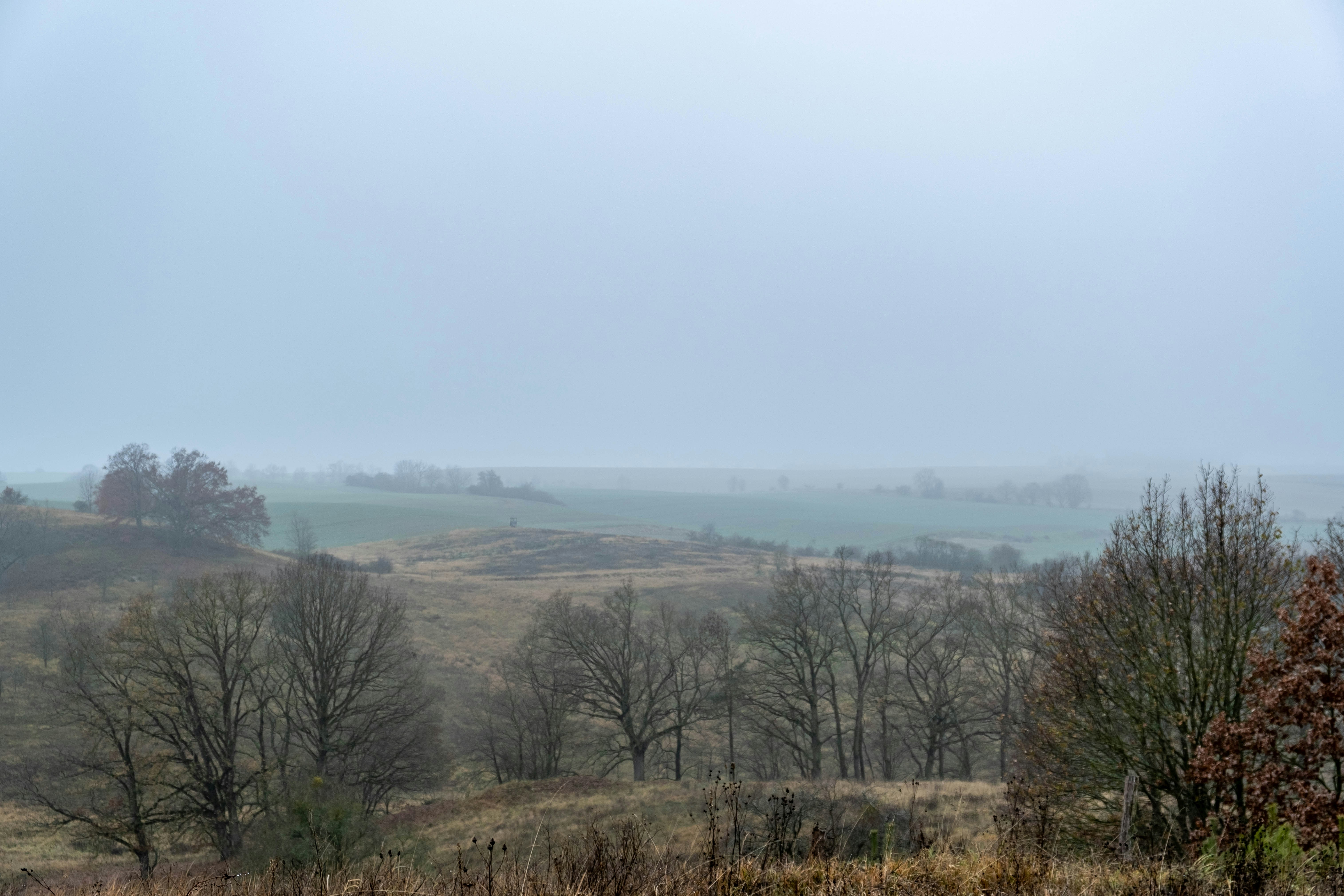 Photo by skajpel
