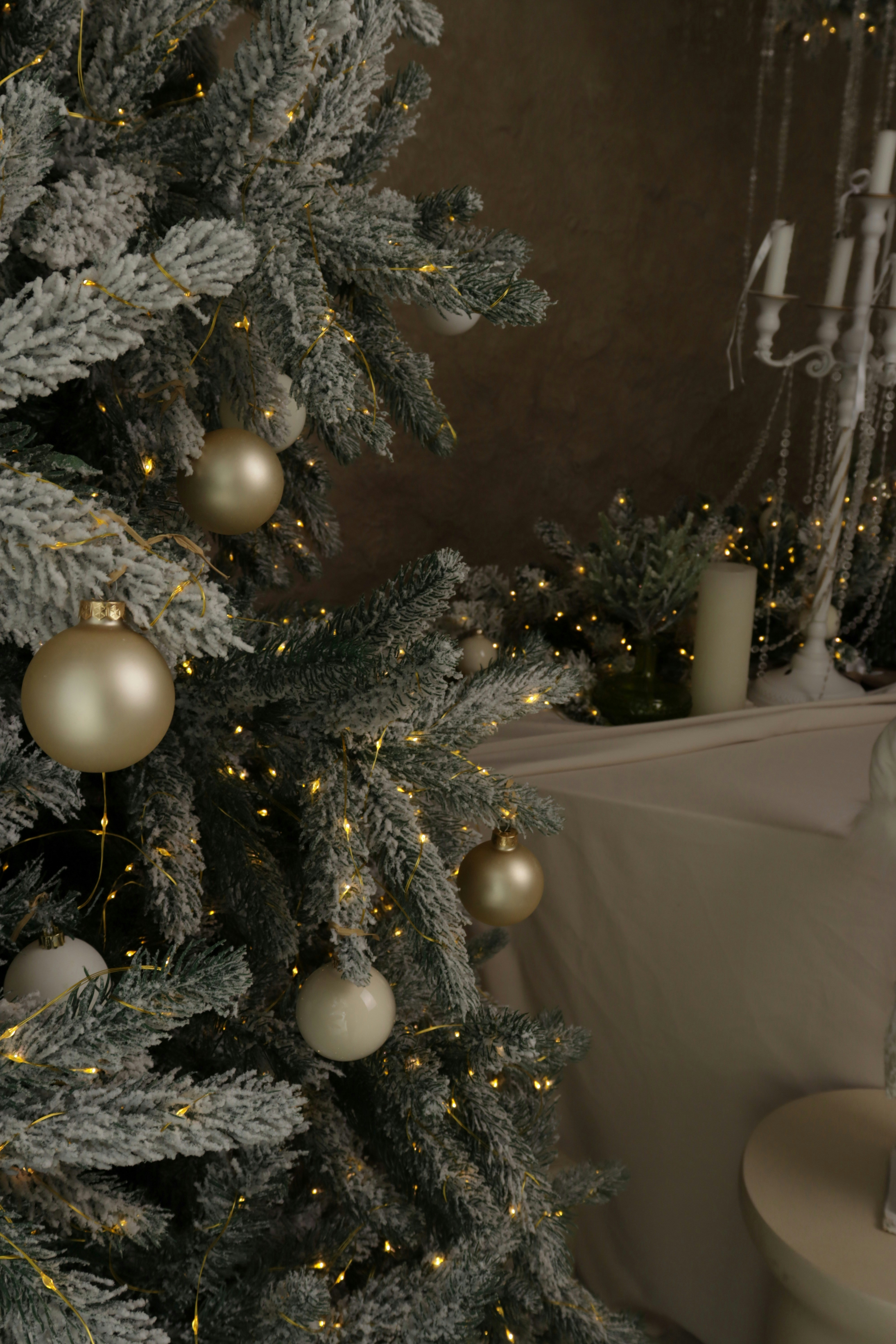 Photo by bored_mongoose