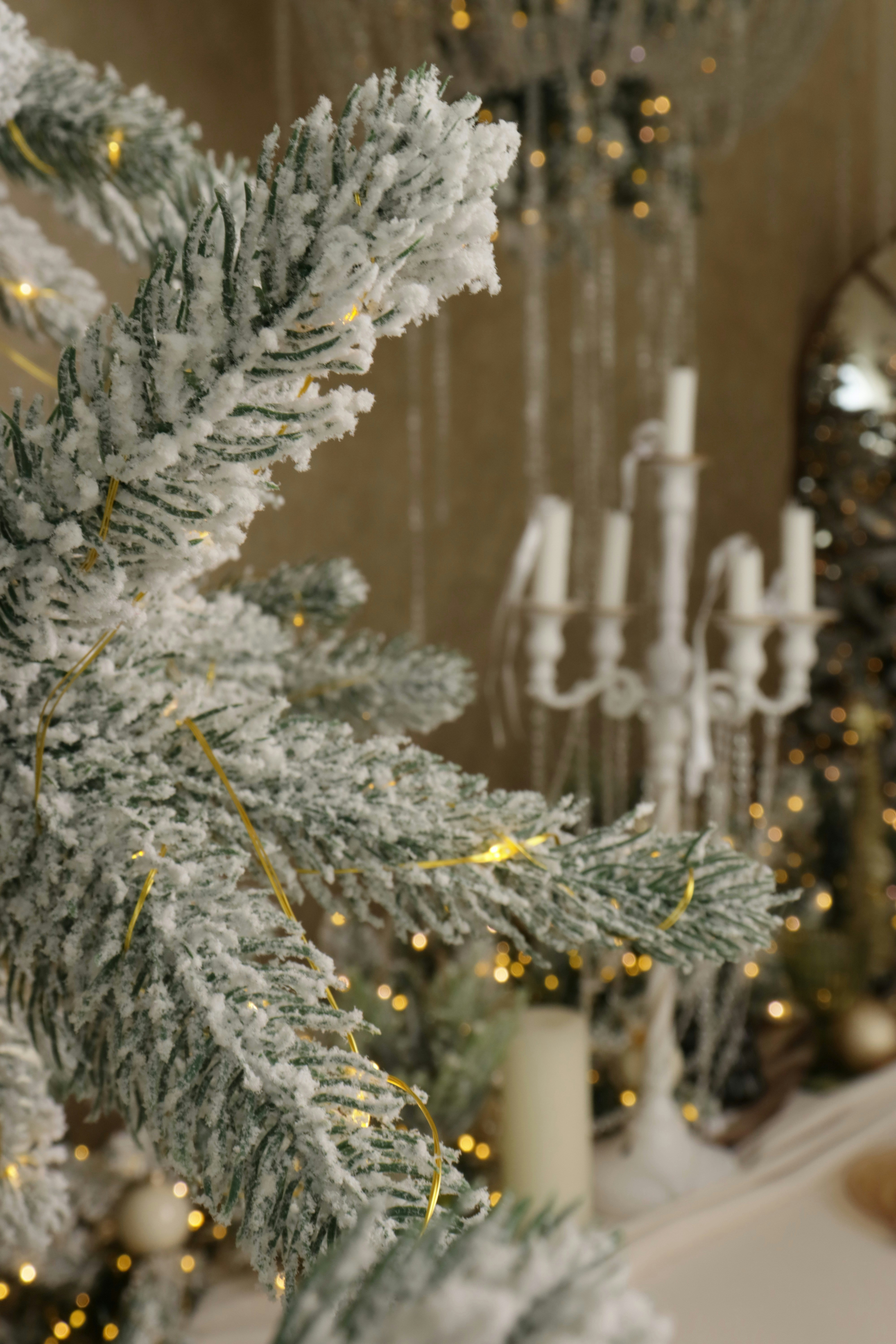 Photo by bored_mongoose