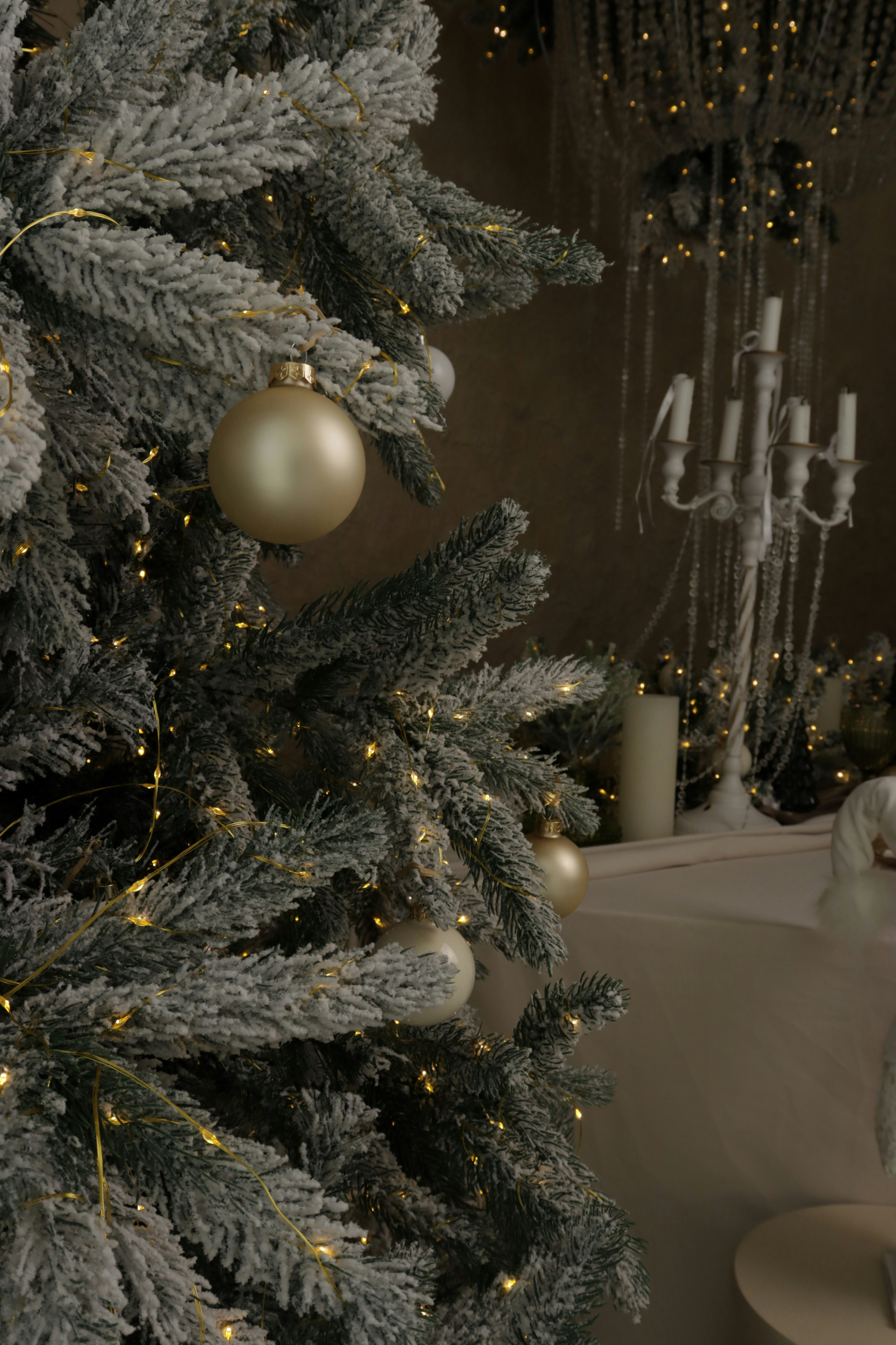 Photo by bored_mongoose