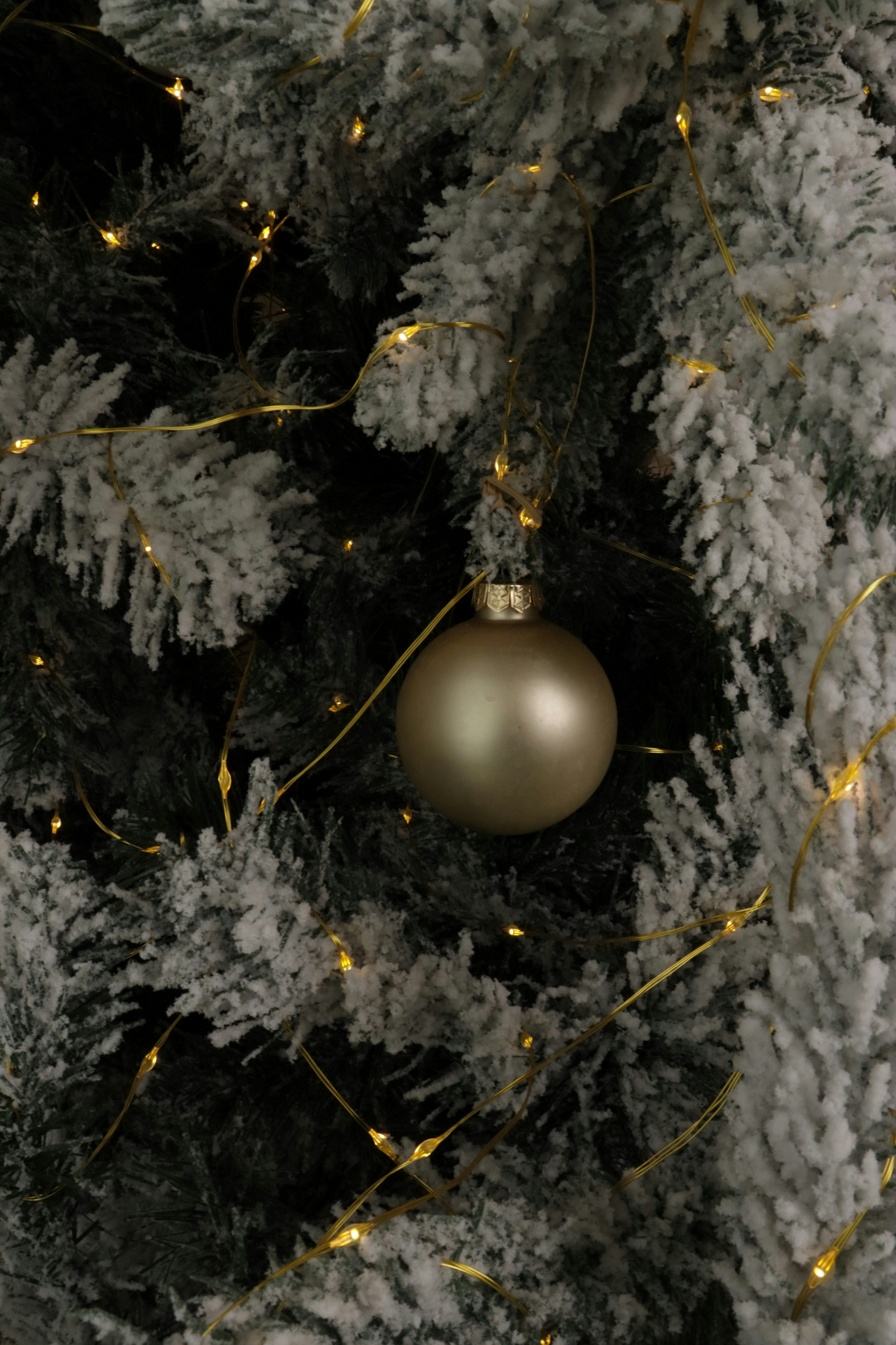 Photo by bored_mongoose