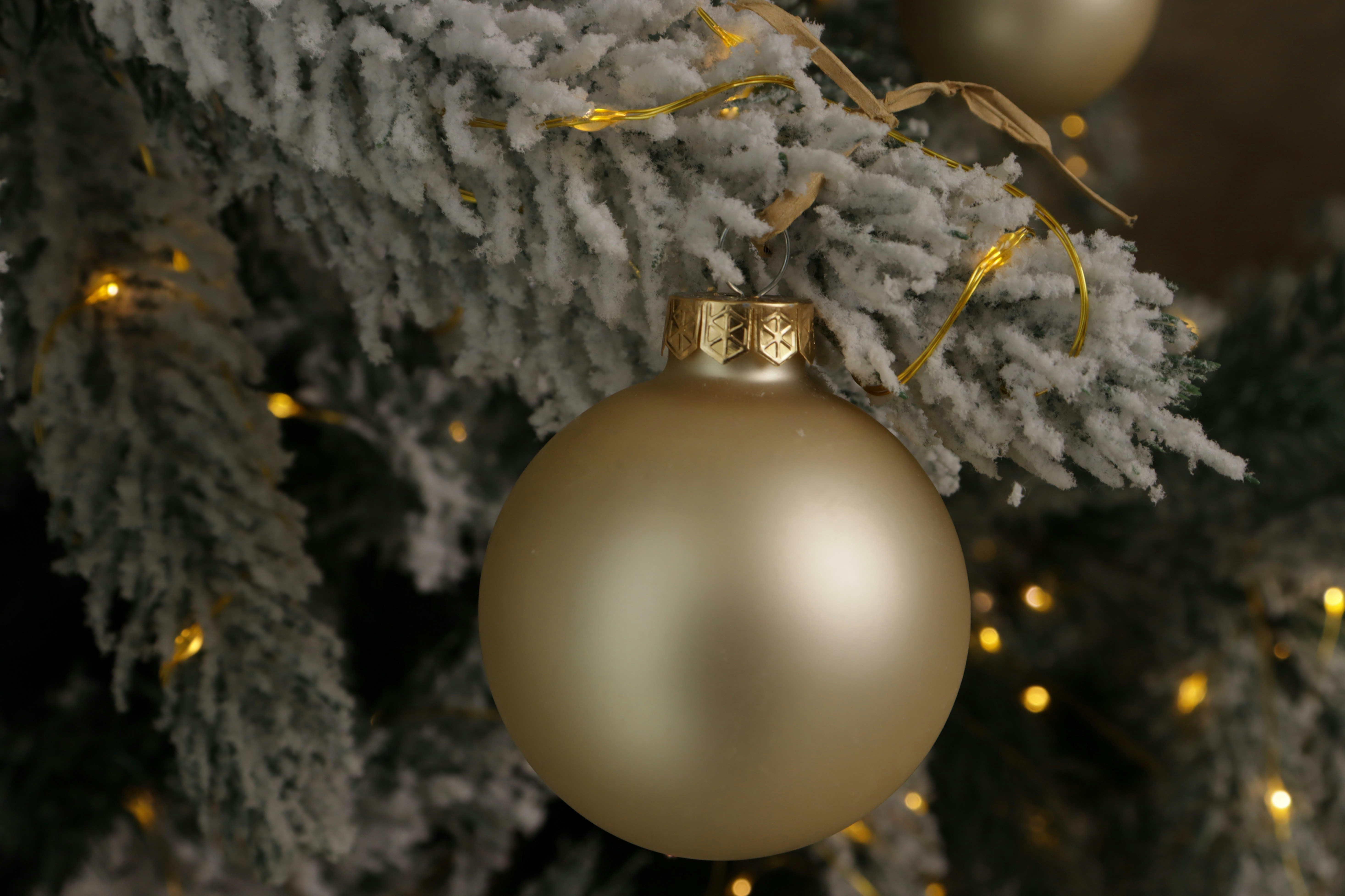 Photo by bored_mongoose