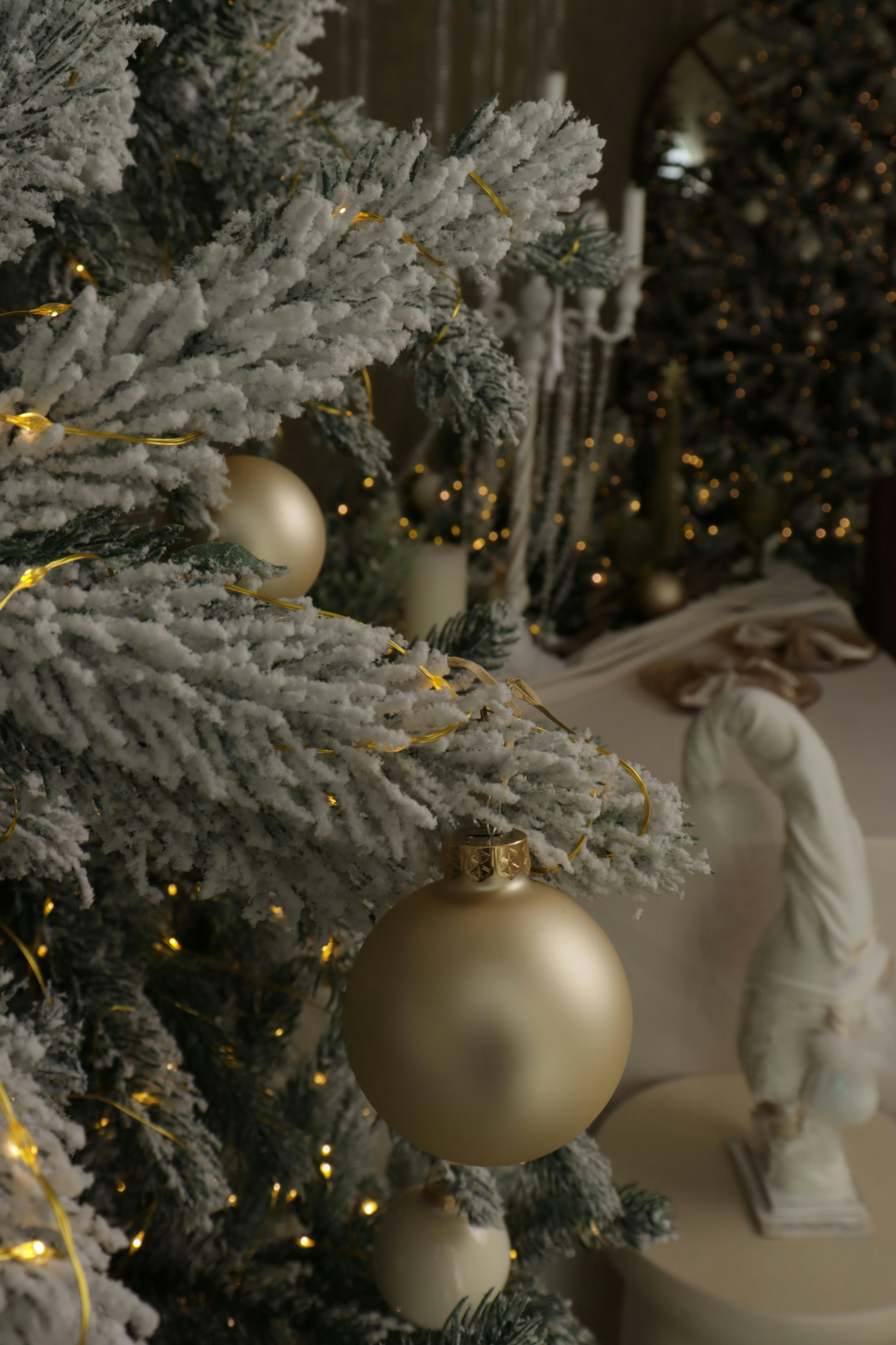 Photo by bored_mongoose