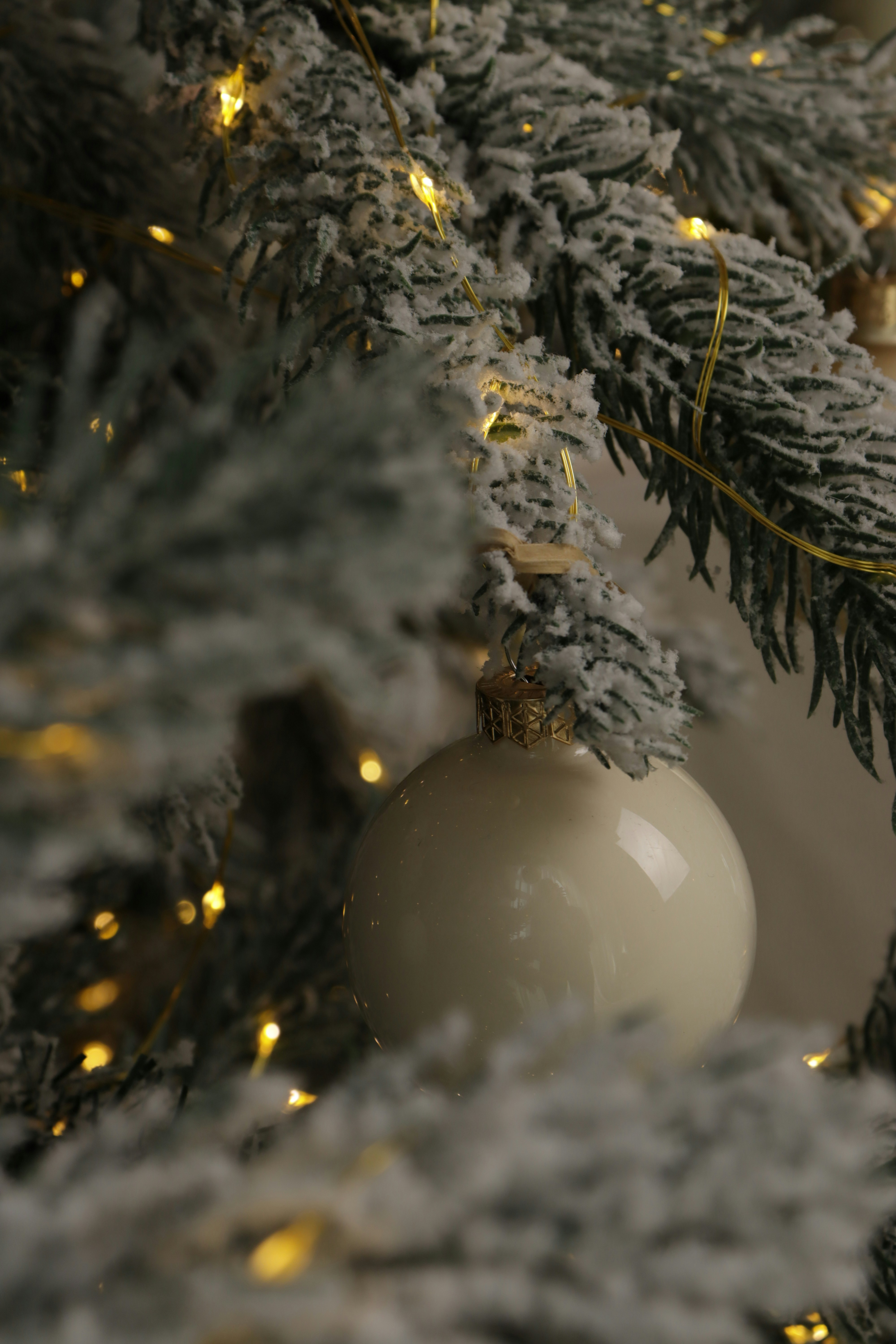 Photo by bored_mongoose