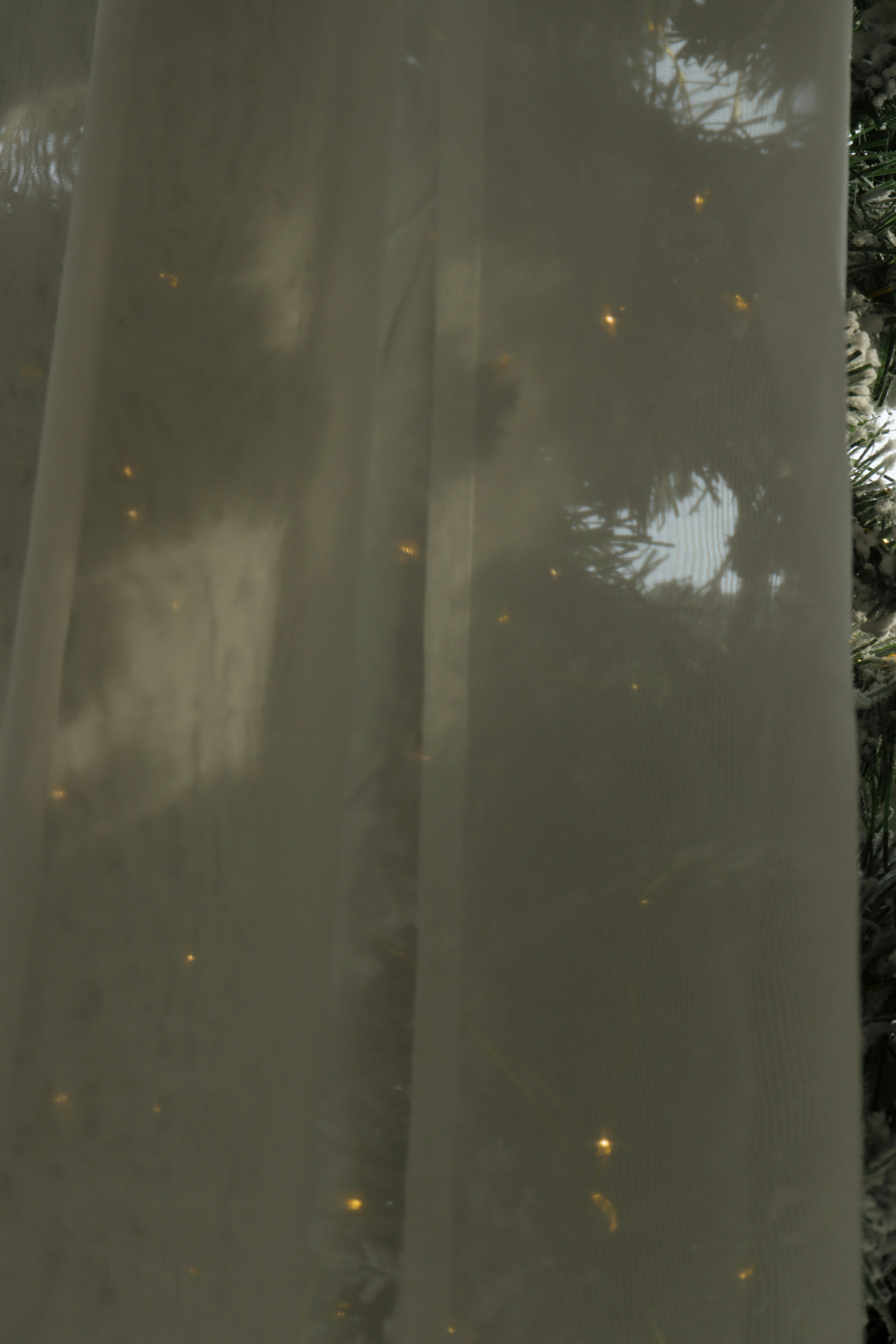 Photo by bored_mongoose