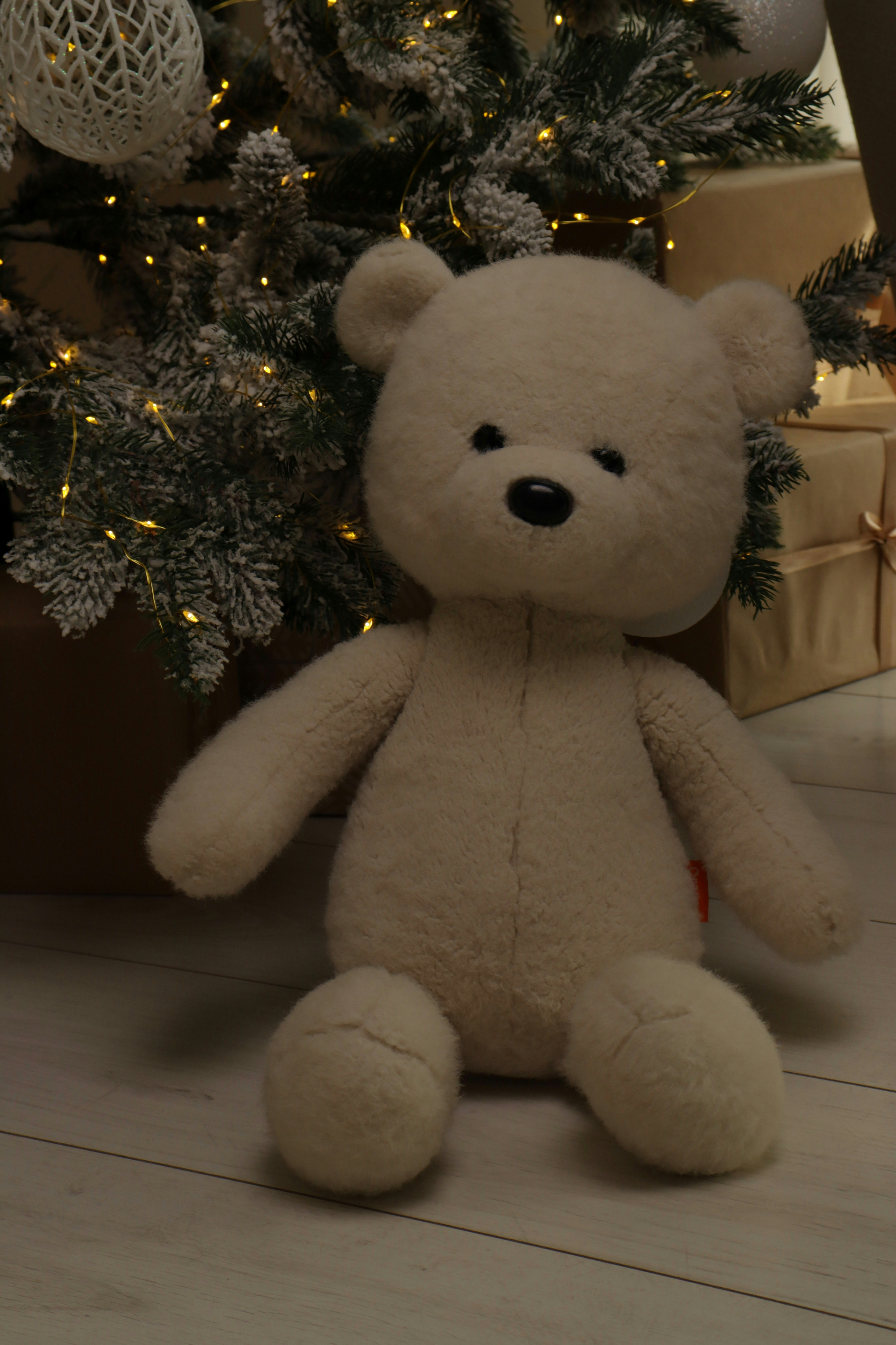 Photo by bored_mongoose