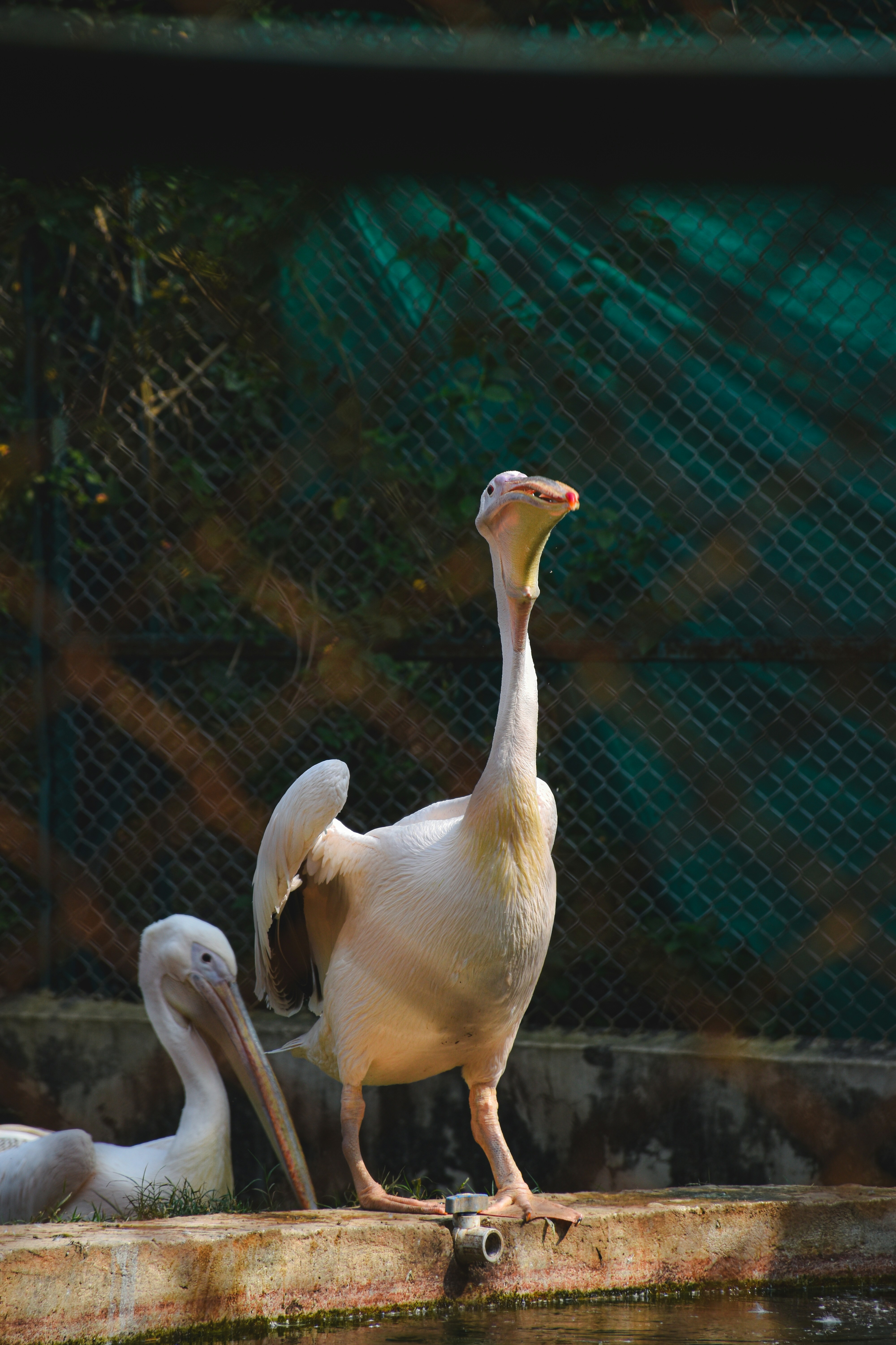 Photo by ranjanaphotography