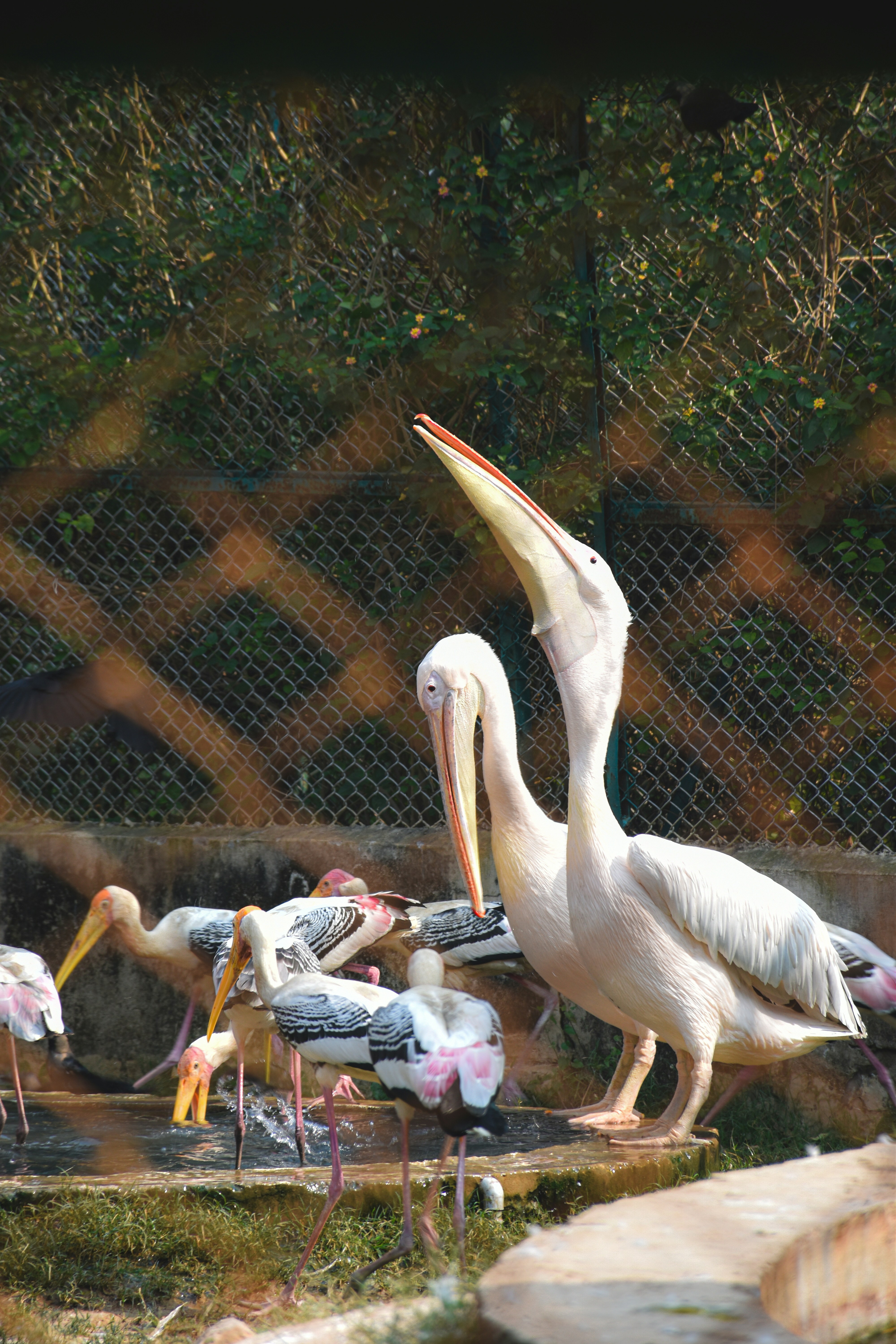 Photo by ranjanaphotography