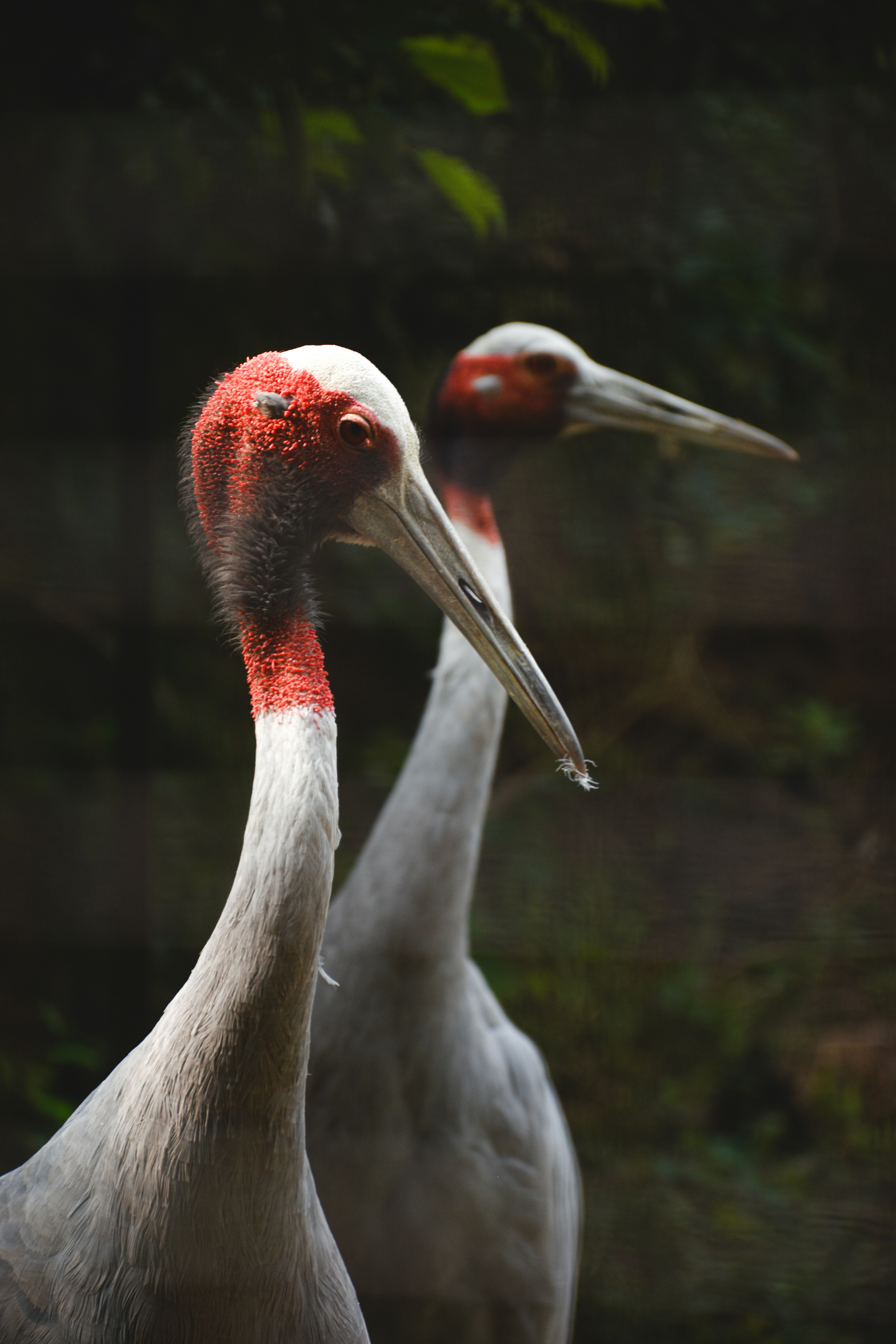 Photo by ranjanaphotography