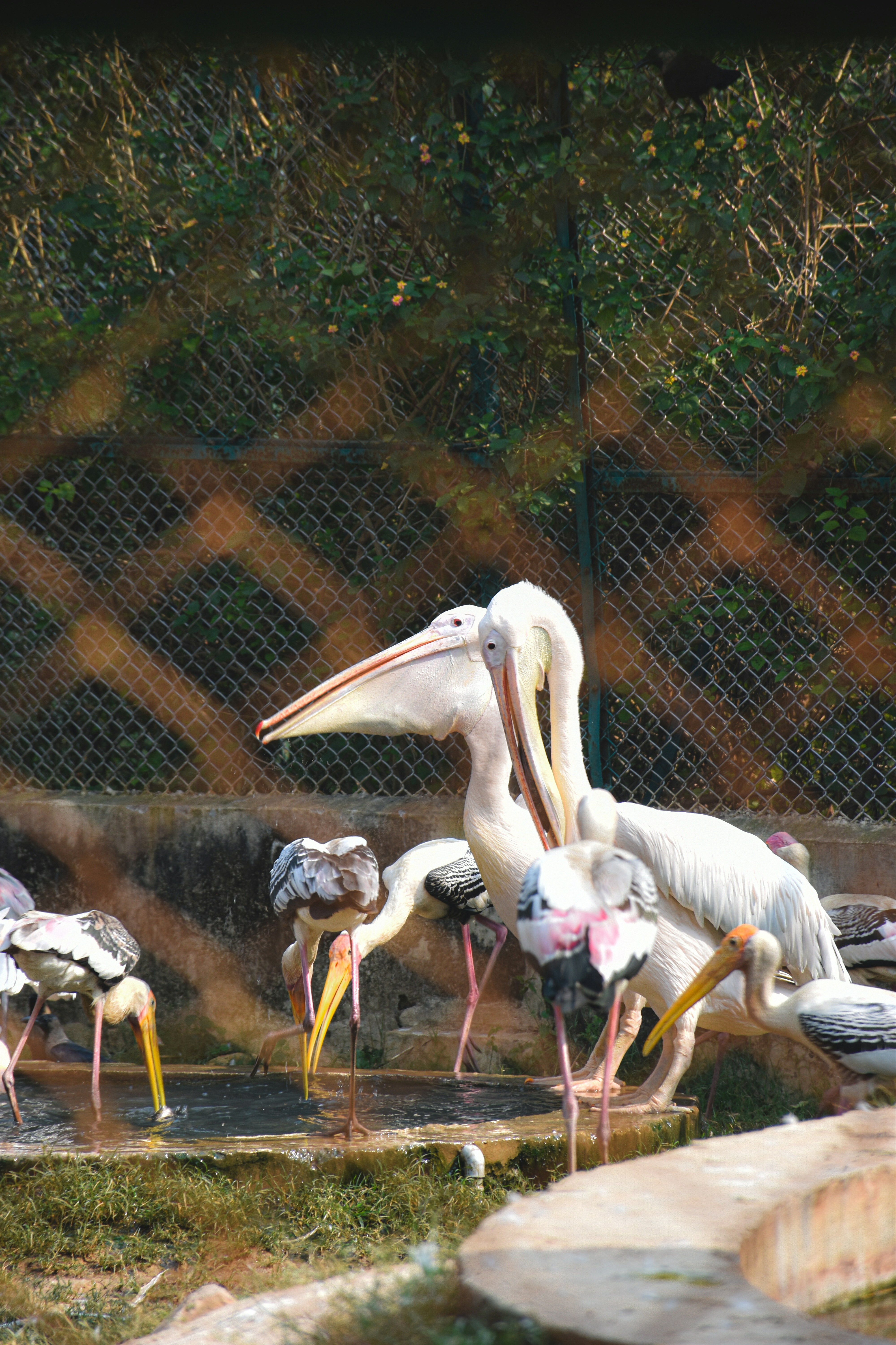 Photo by ranjanaphotography