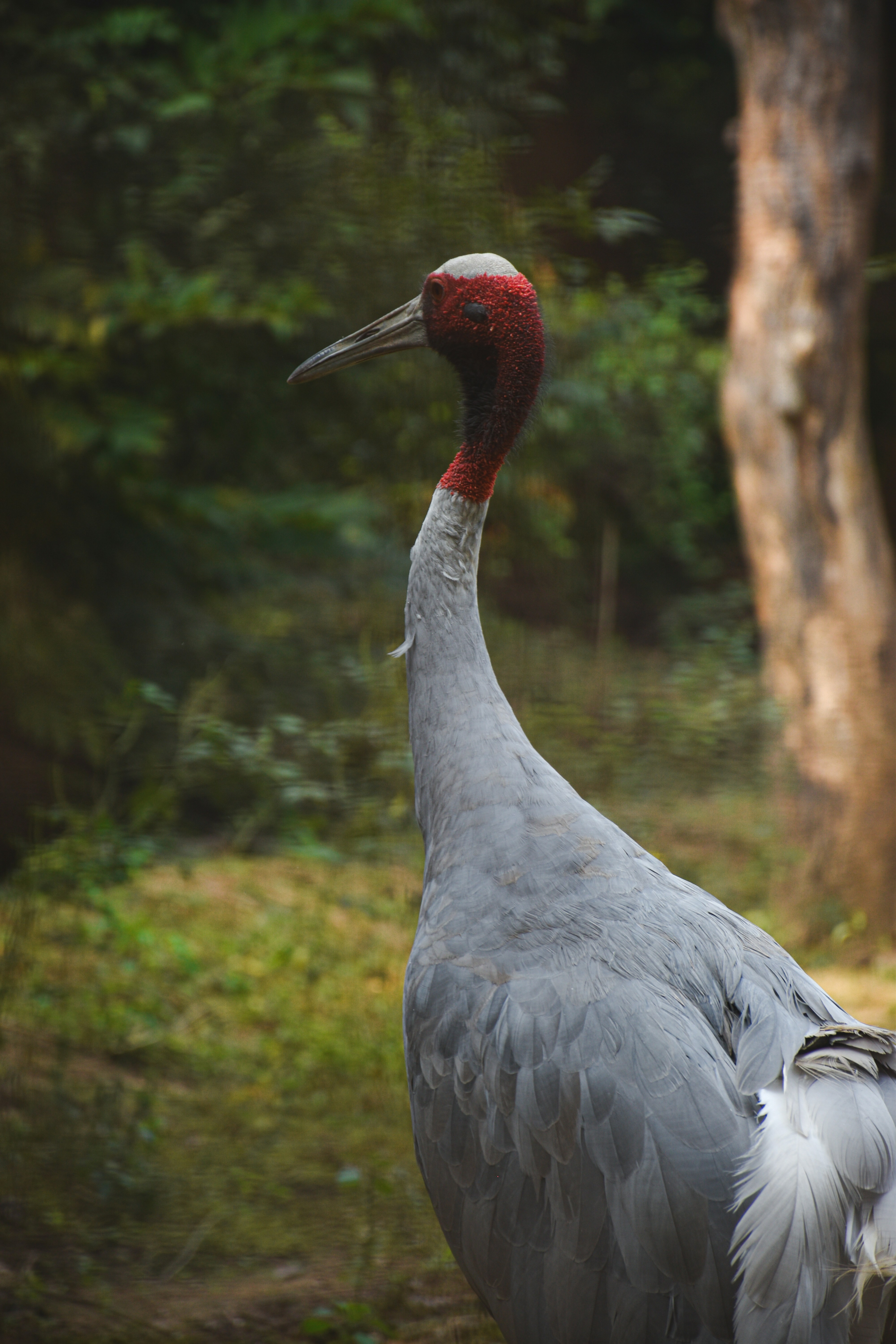 Photo by ranjanaphotography