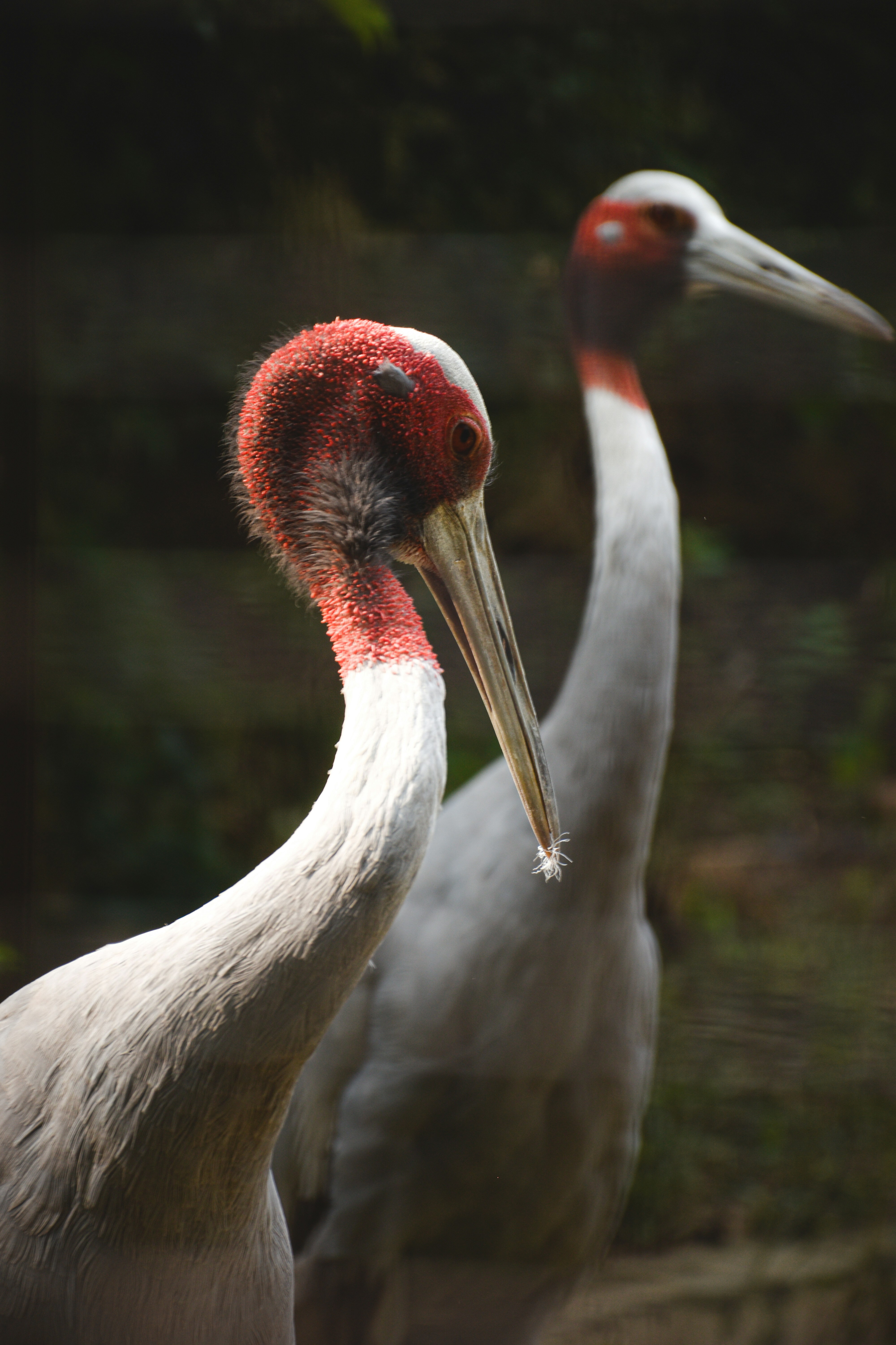 Photo by ranjanaphotography