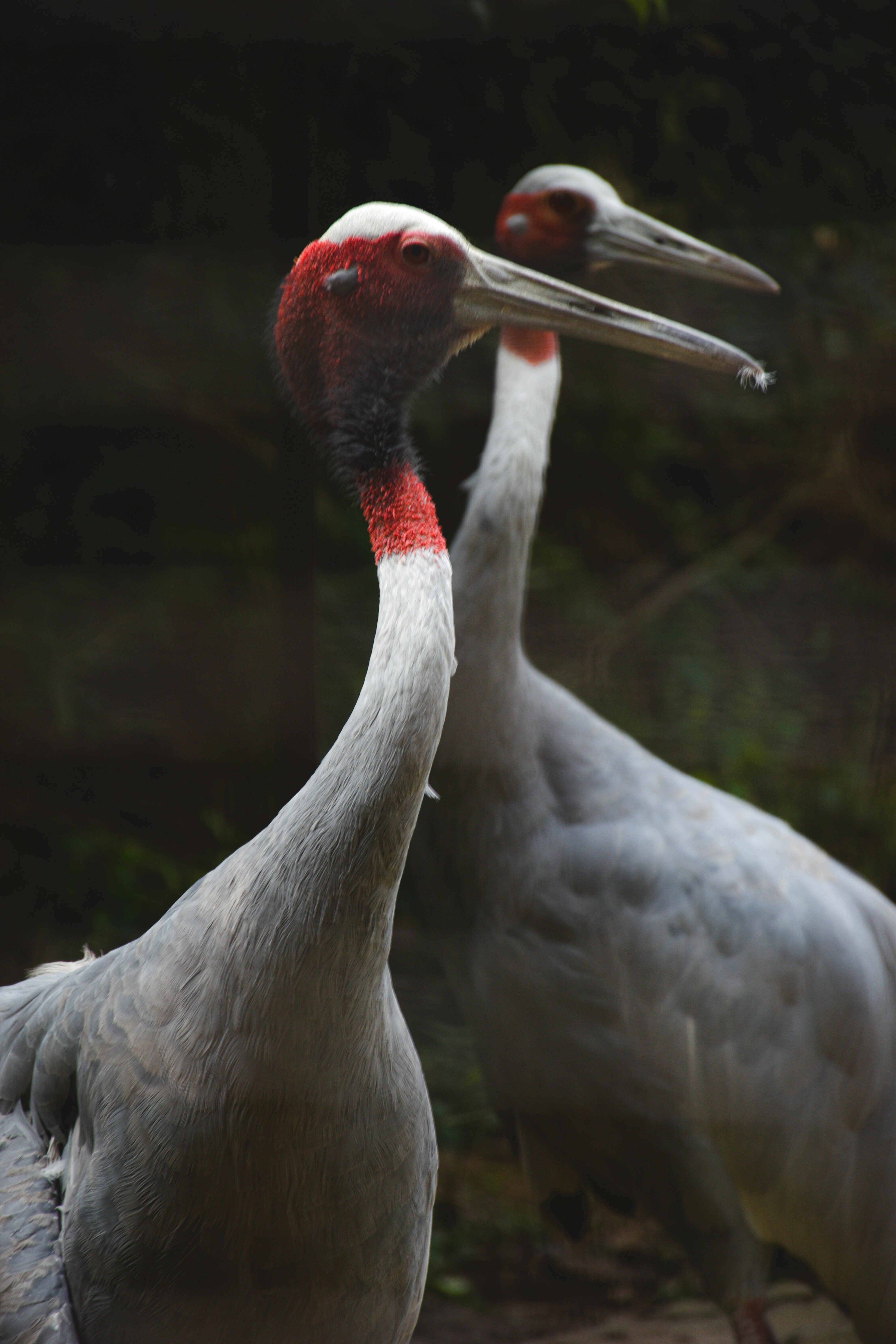 Photo by ranjanaphotography