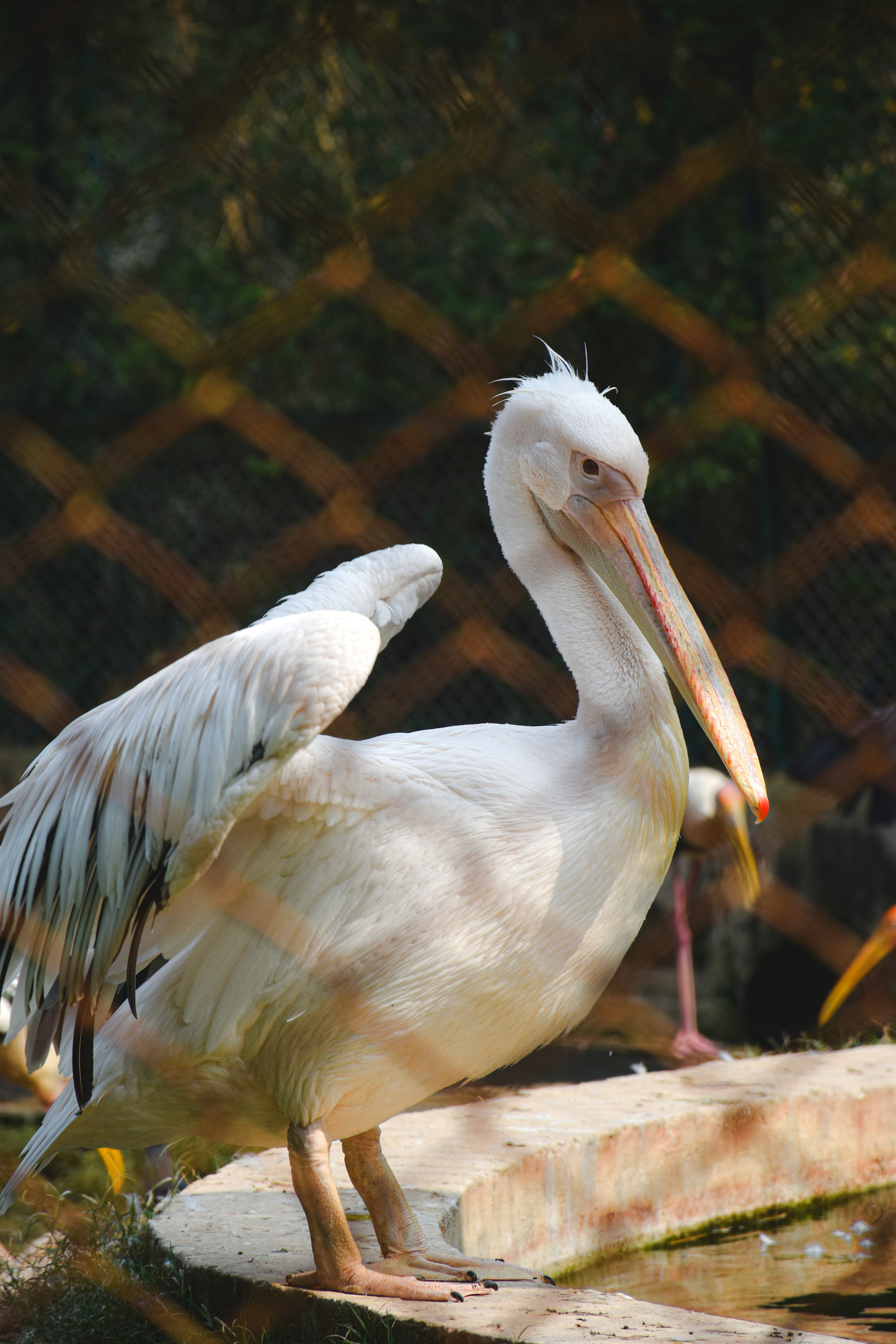 Photo by ranjanaphotography