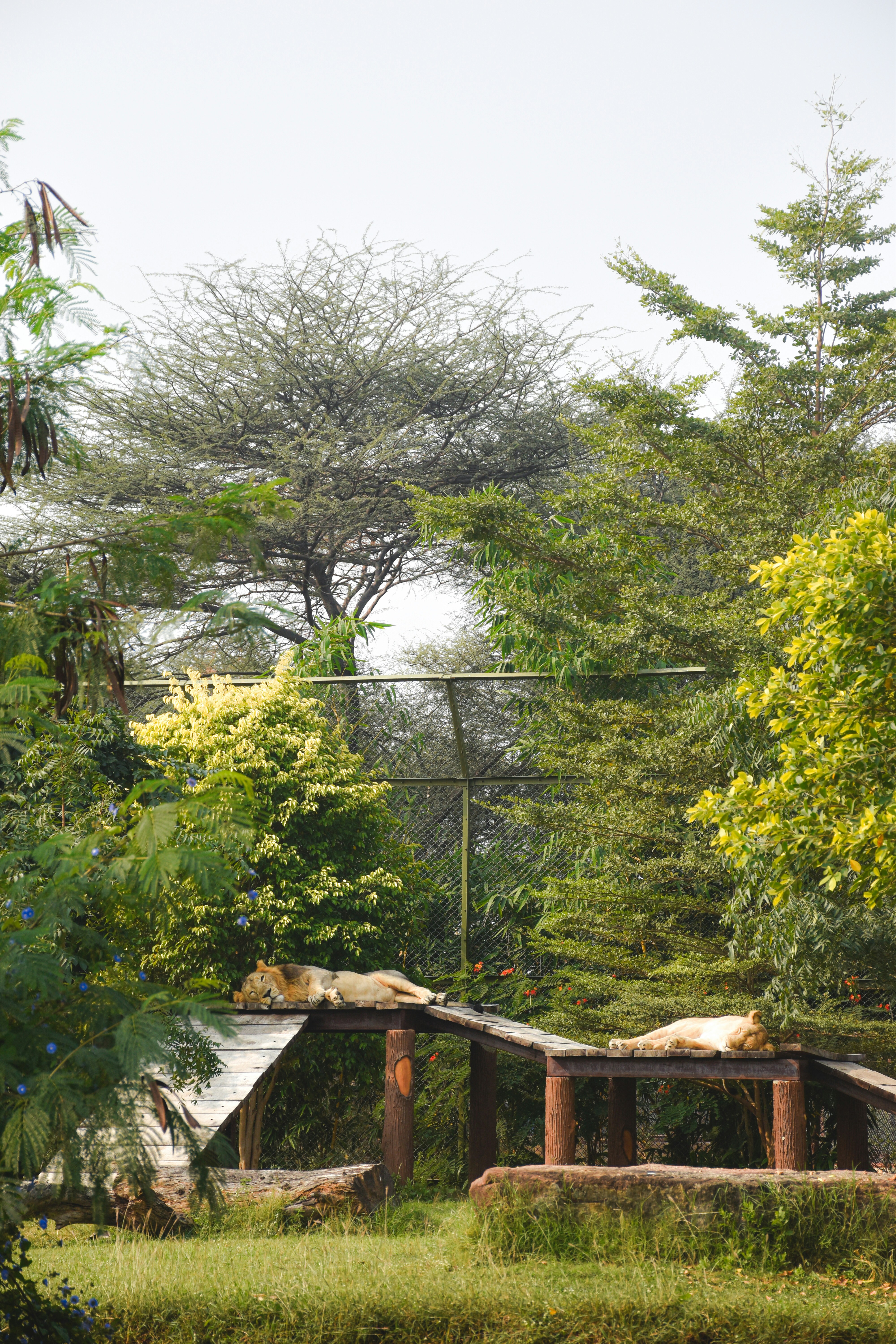 Photo by ranjanaphotography