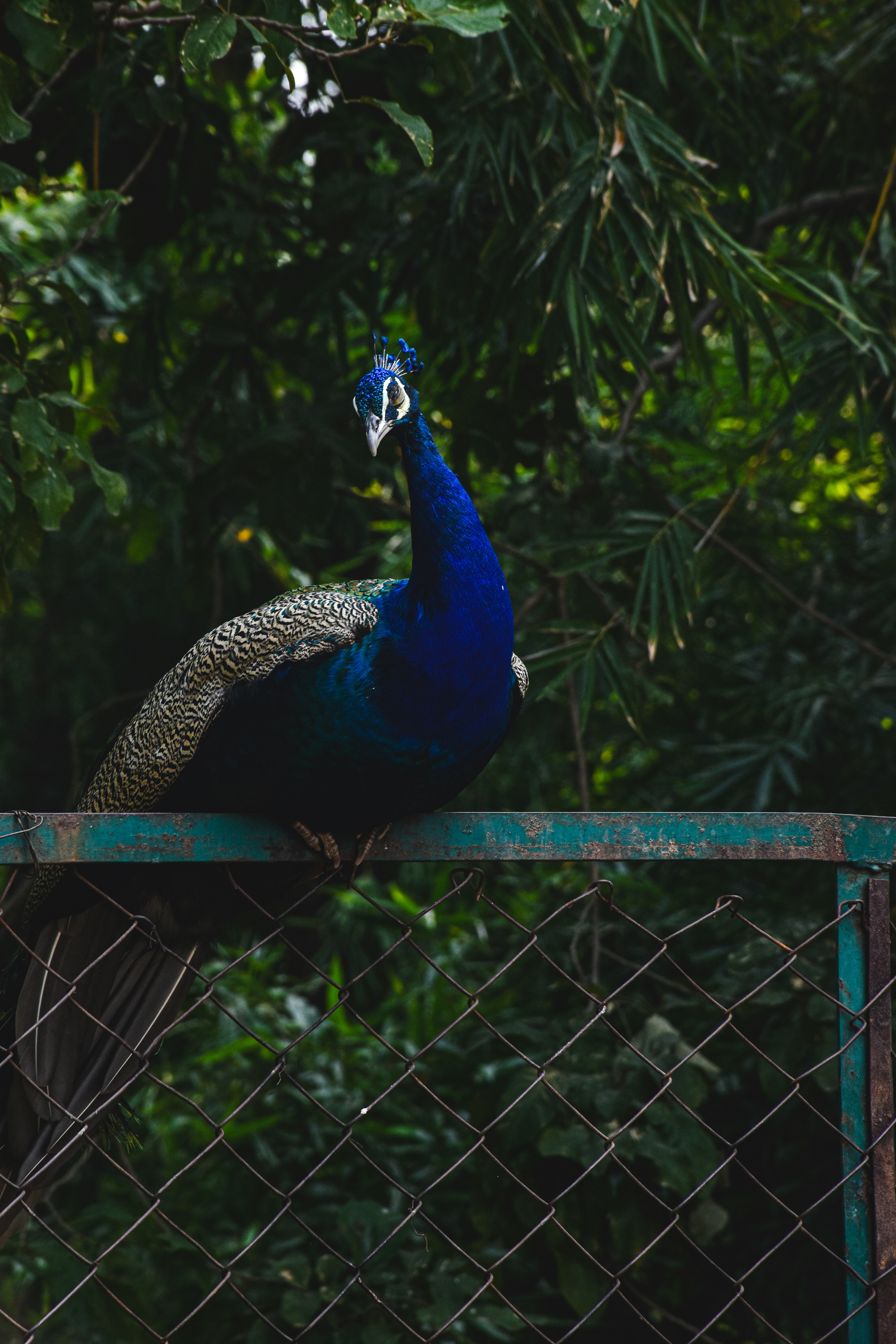 Photo by ranjanaphotography