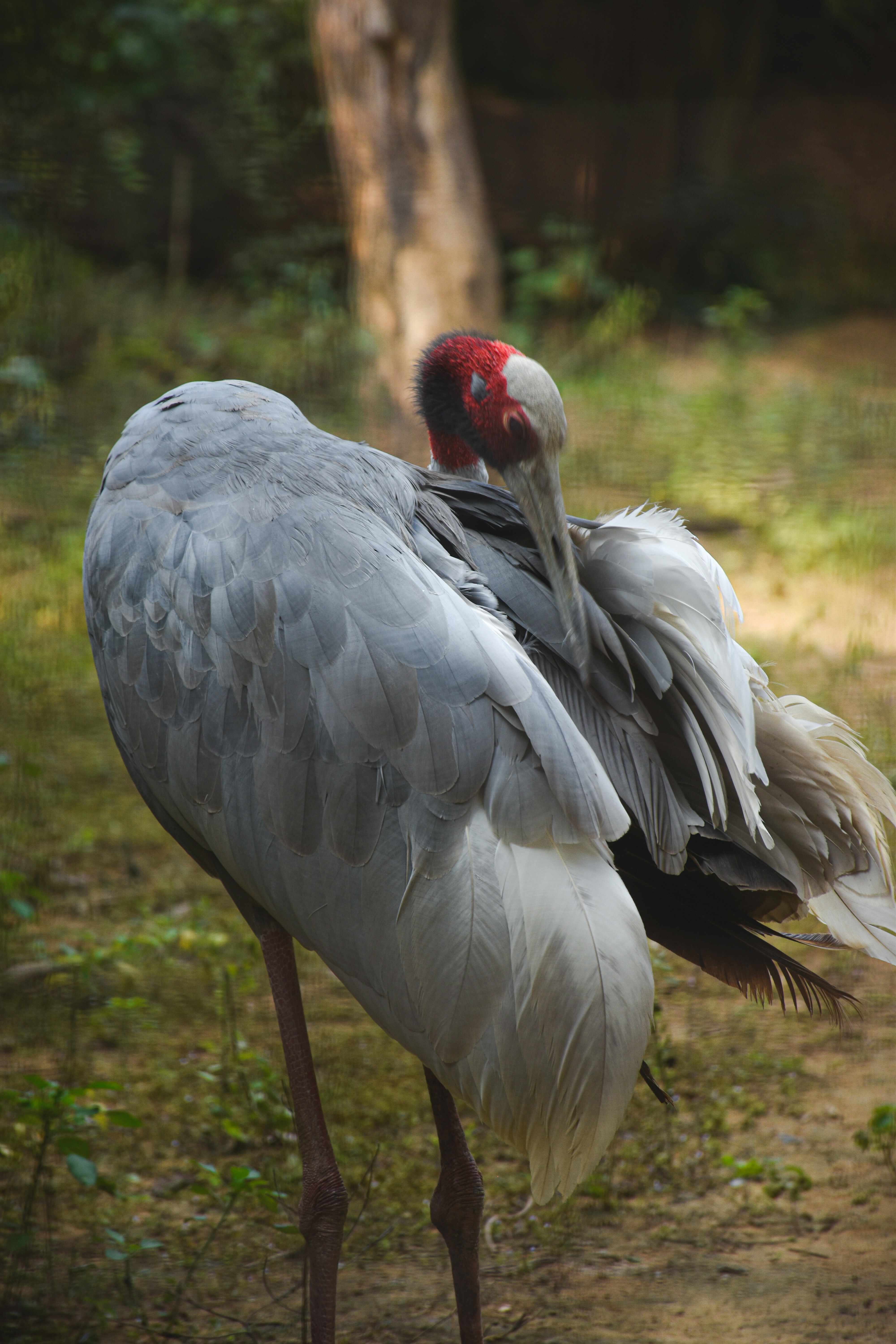 Photo by ranjanaphotography