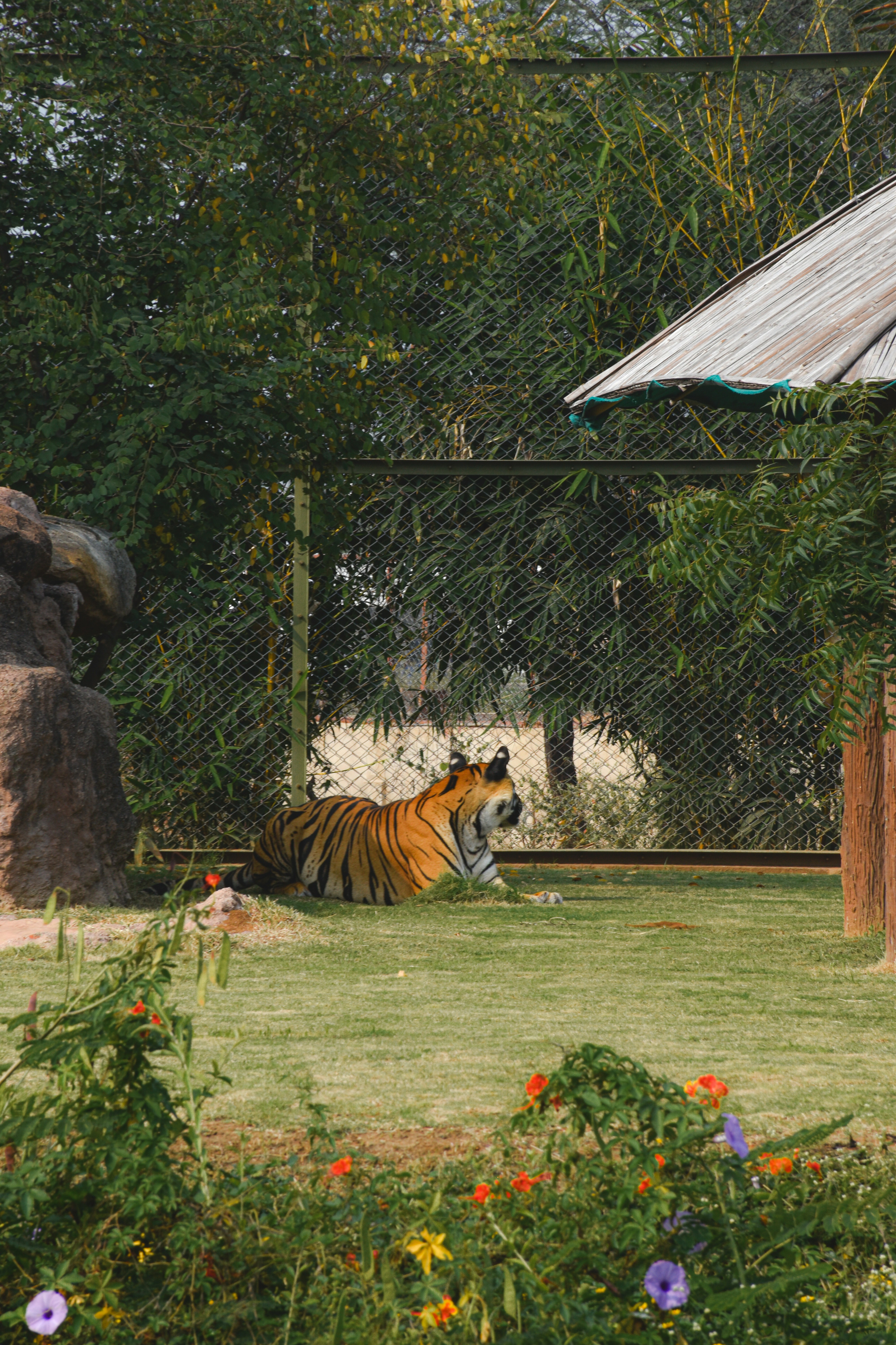 water conservation lawn