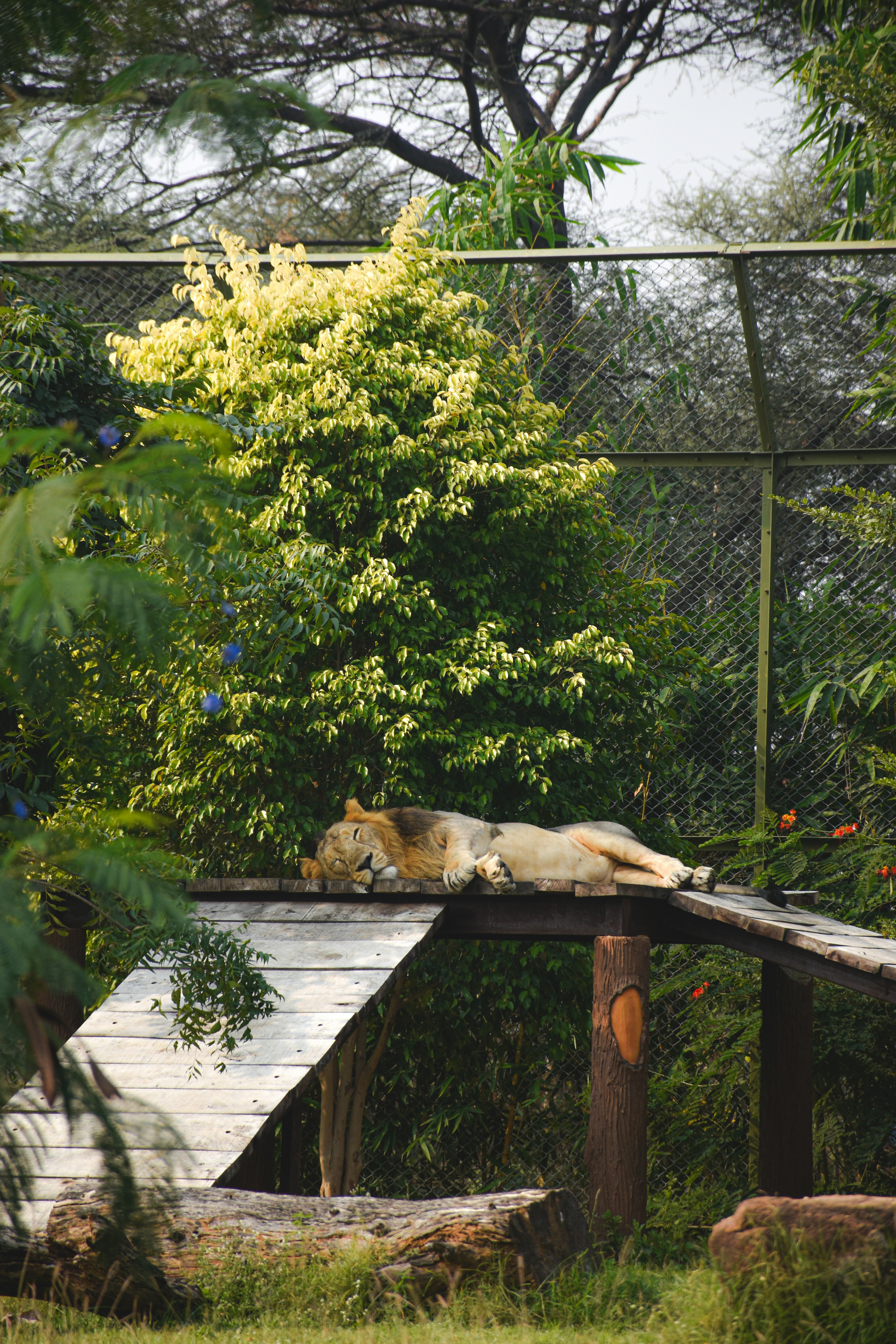 Photo by ranjanaphotography