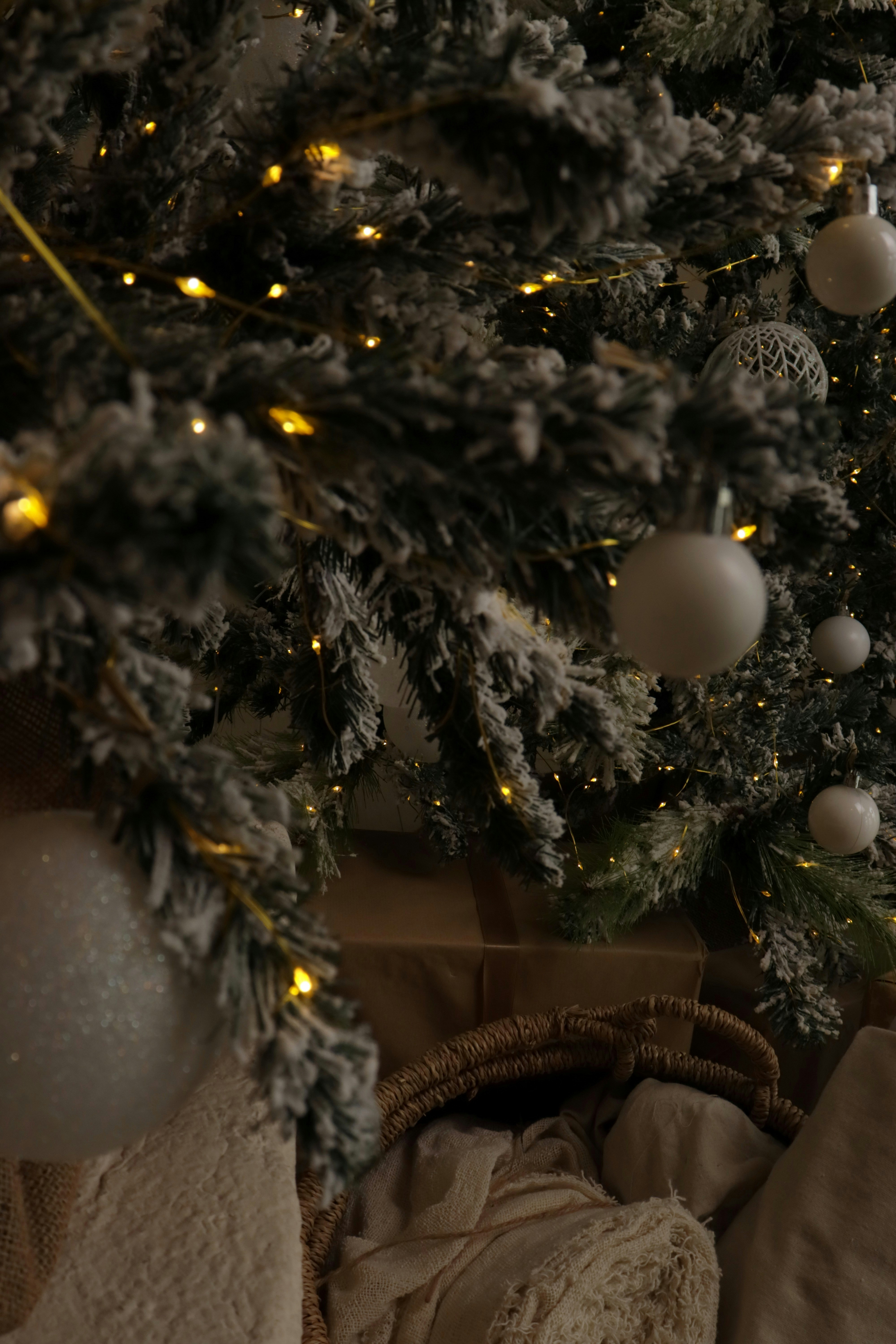 Photo by bored_mongoose