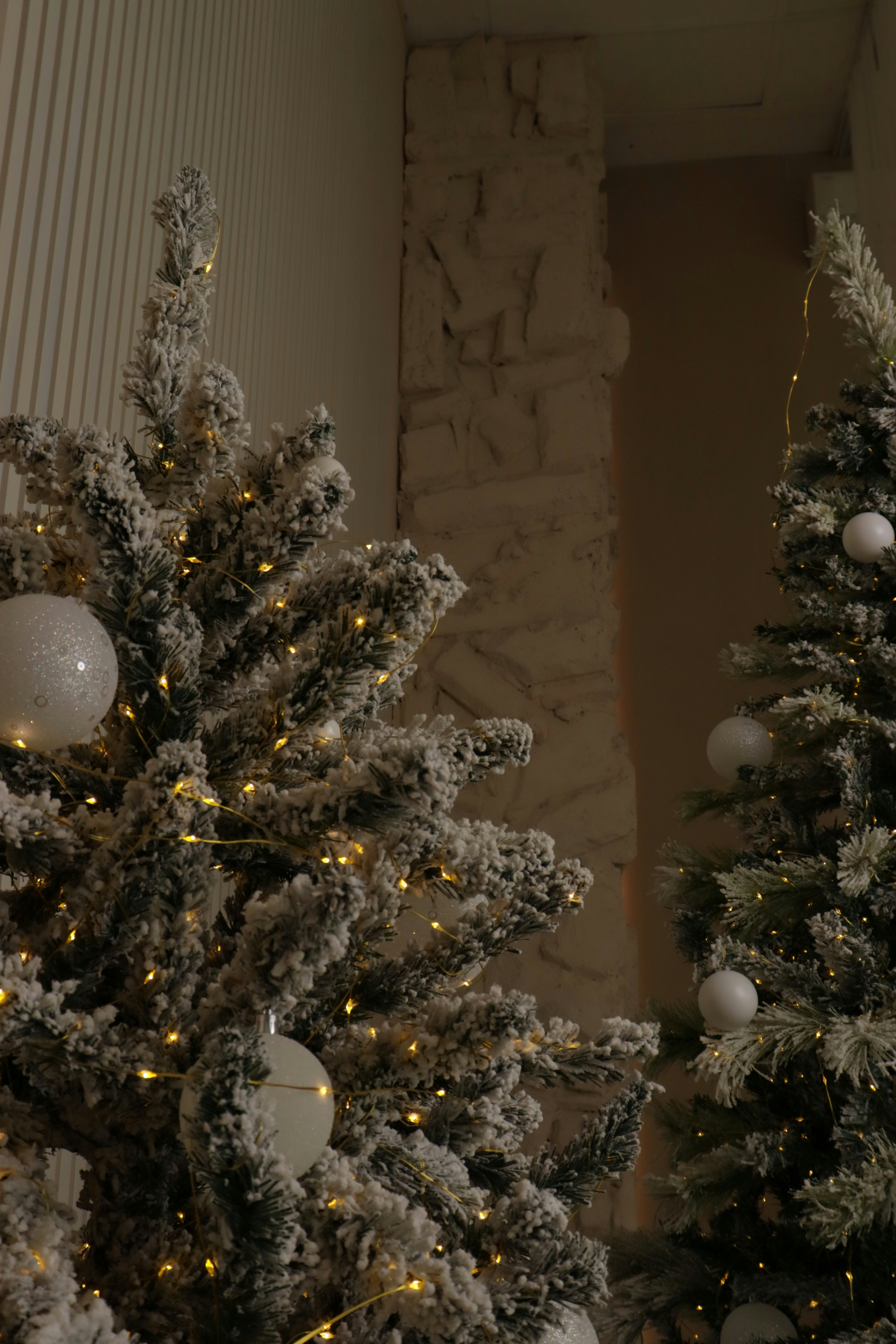 Photo by bored_mongoose