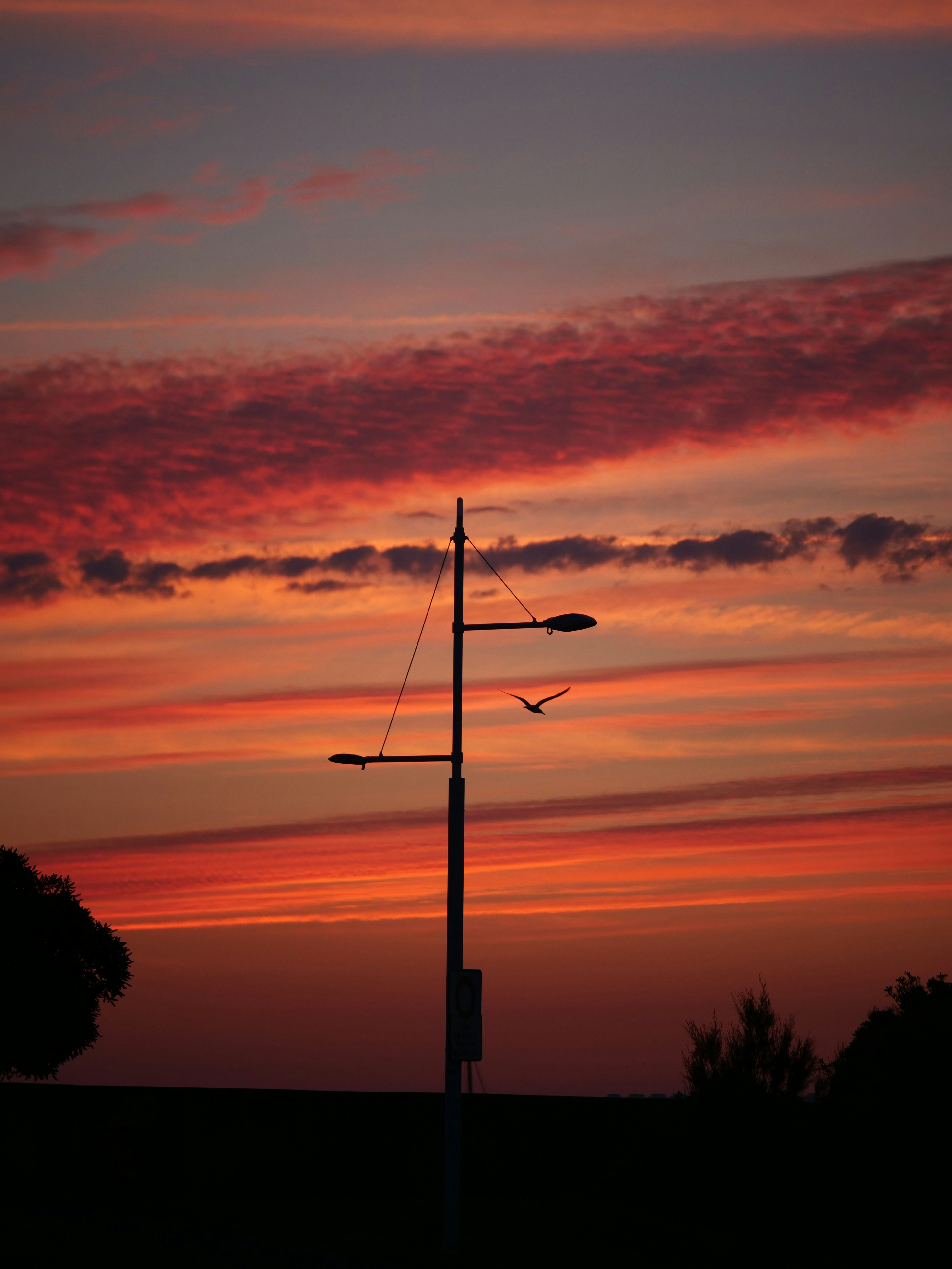 Photo by nimbus_vulpis