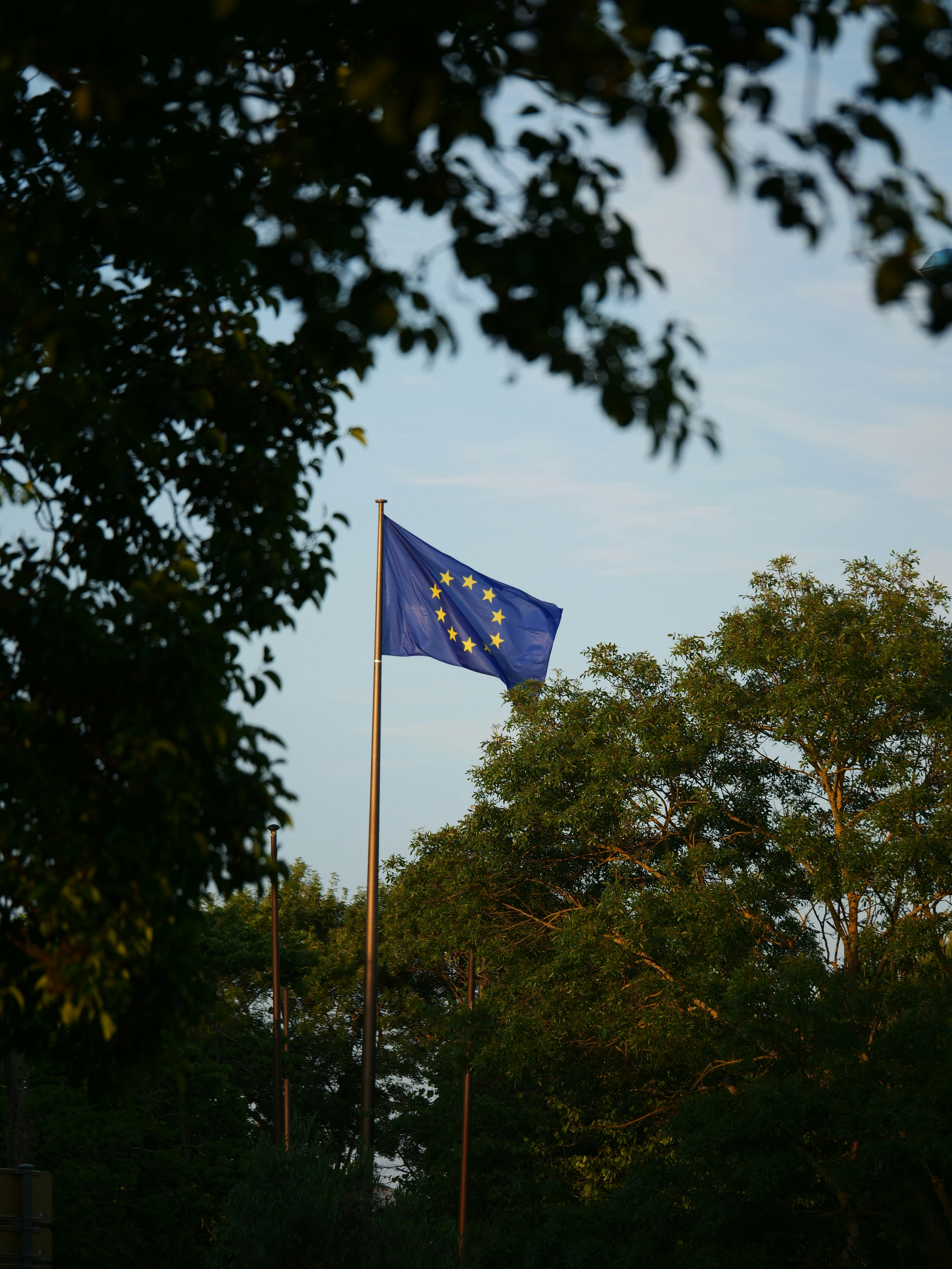 Bandera de la Unión Europea ondeando entre árboles verdes