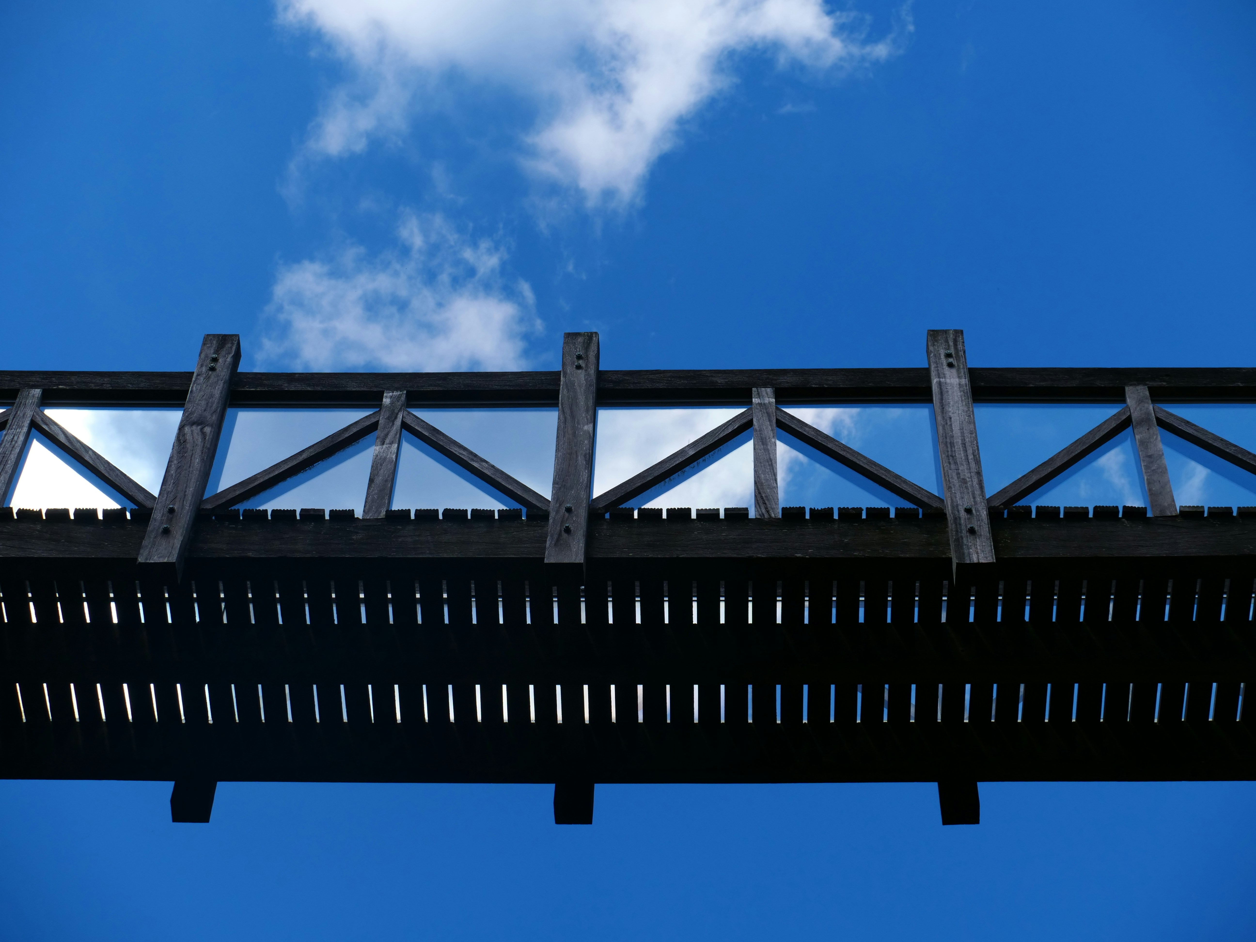 Photo by nimbus_vulpis