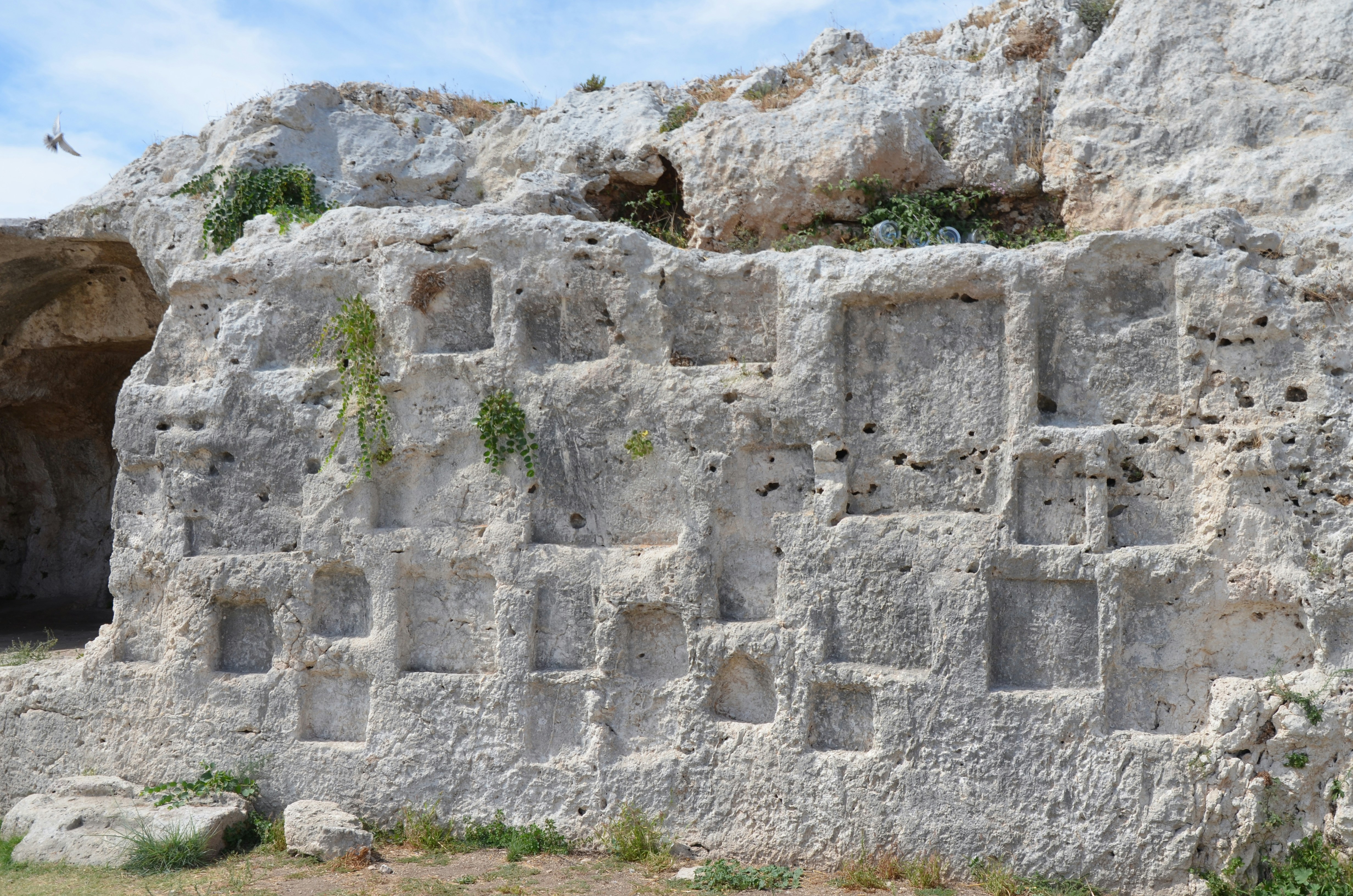 Photo by jaspercampbell