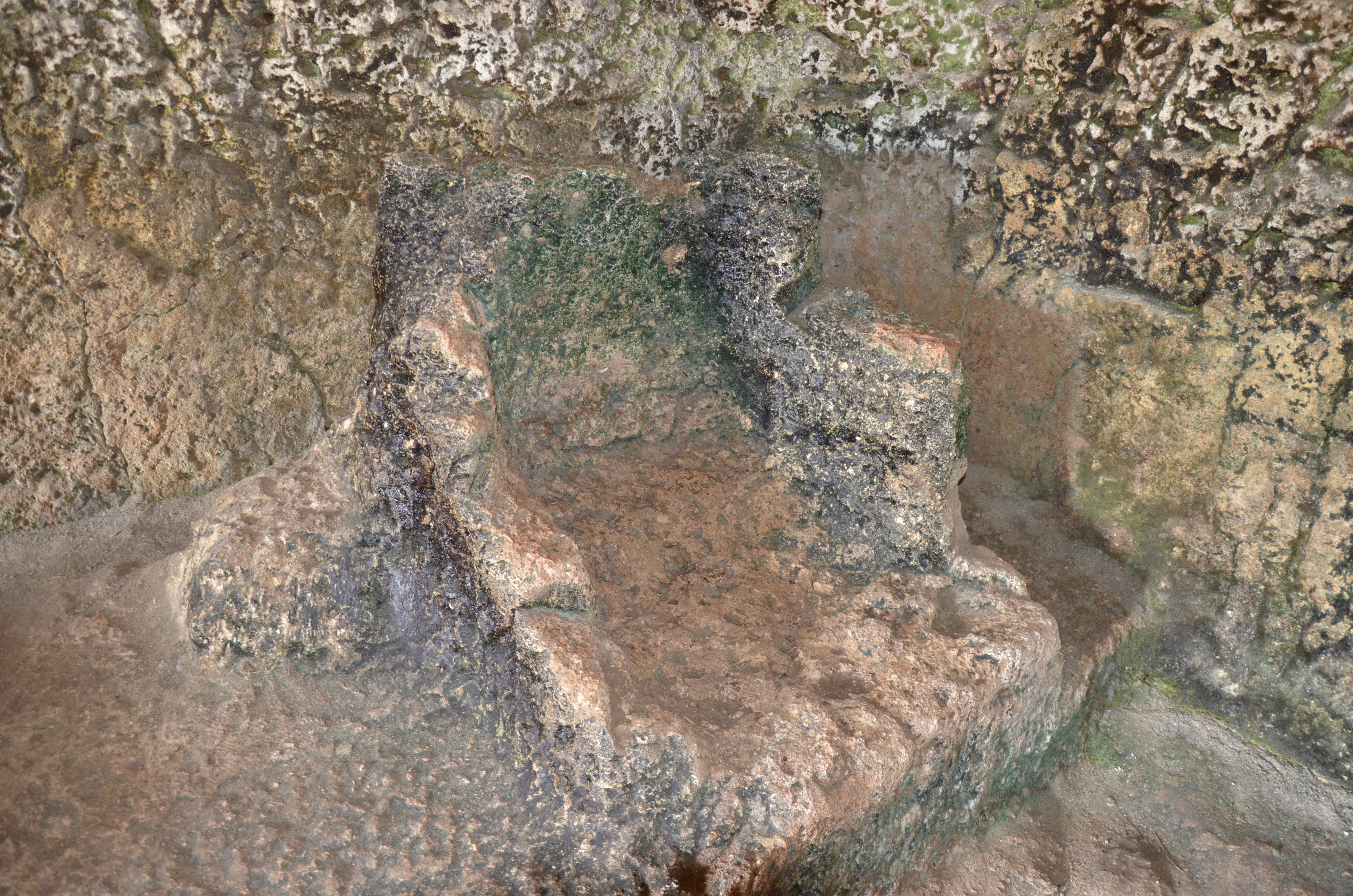 Photo by jaspercampbell