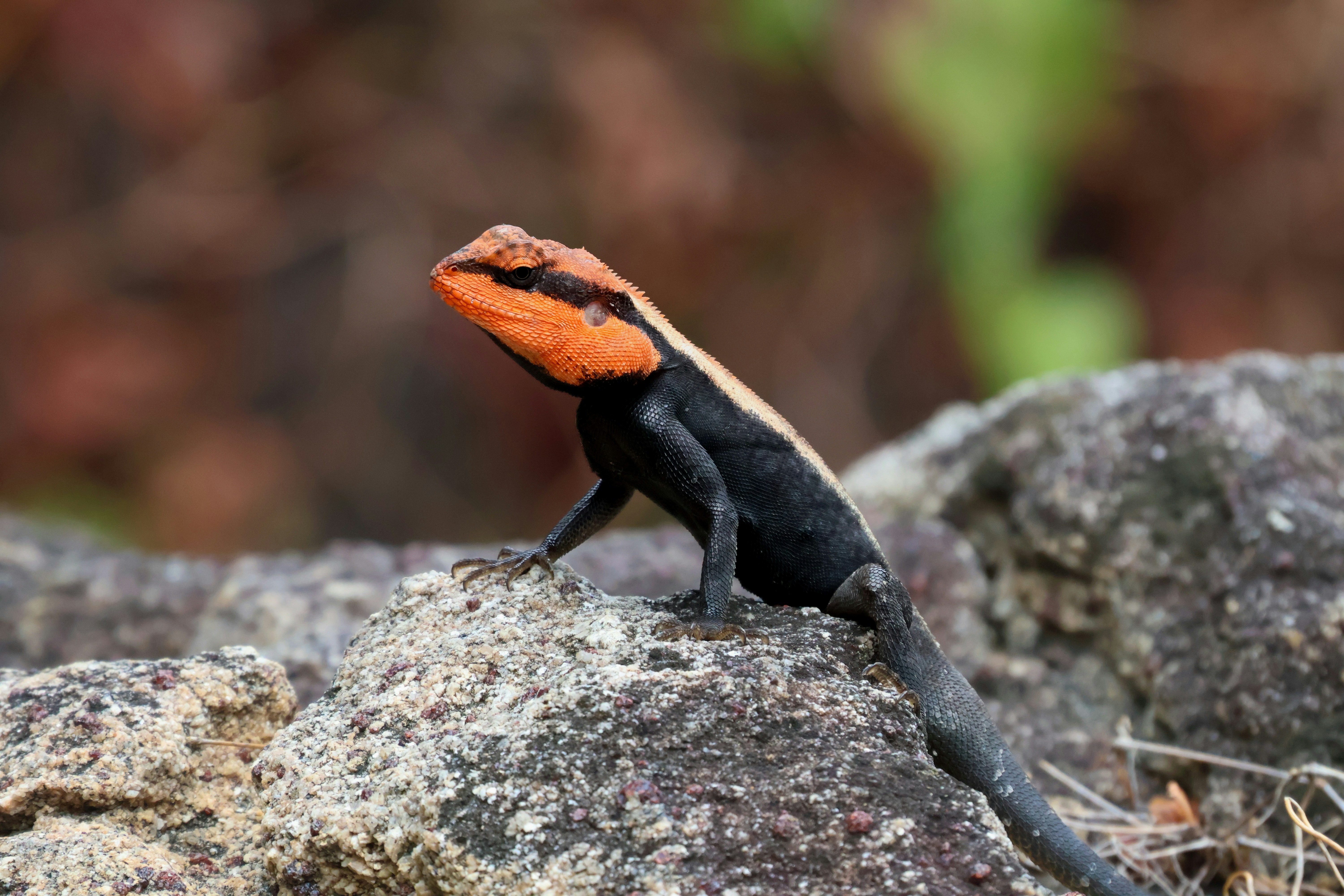 Photo by bakkiya2197