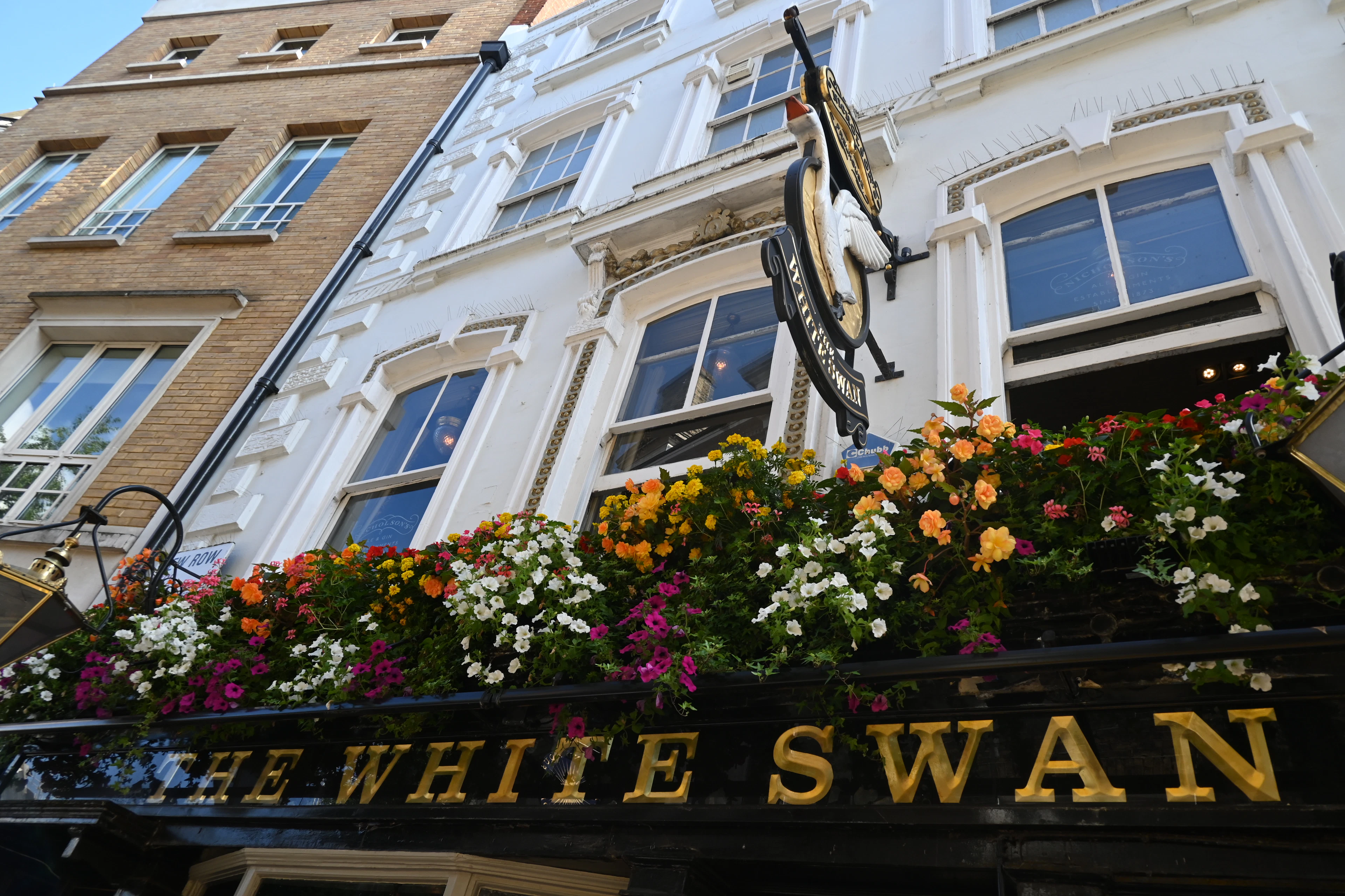 Gilded lettering and overflowing flower boxes on the facade of The White Swan, a traditional pub on New Row in London