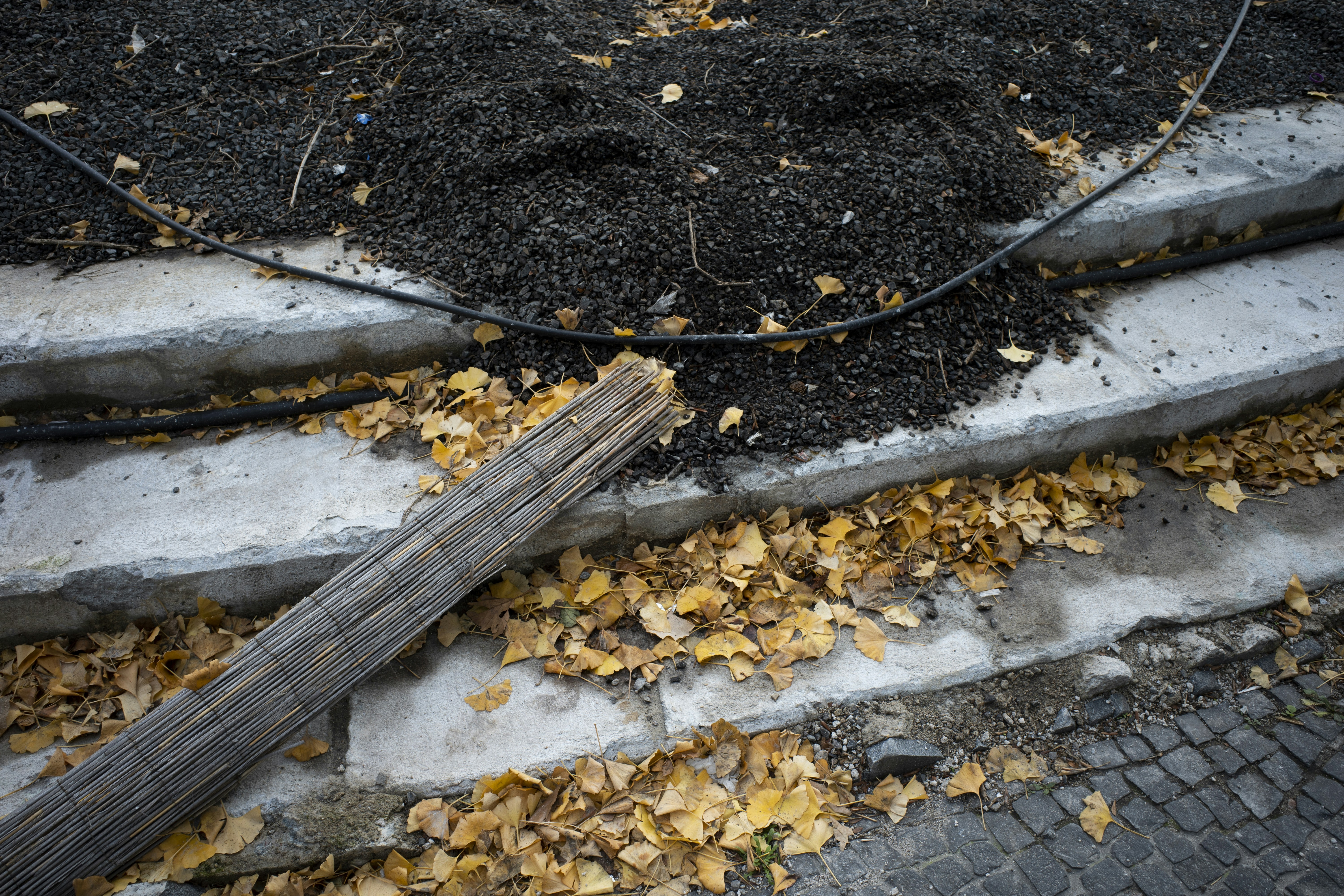 Fallen autumn leaves on concrete steps with wooden debris.