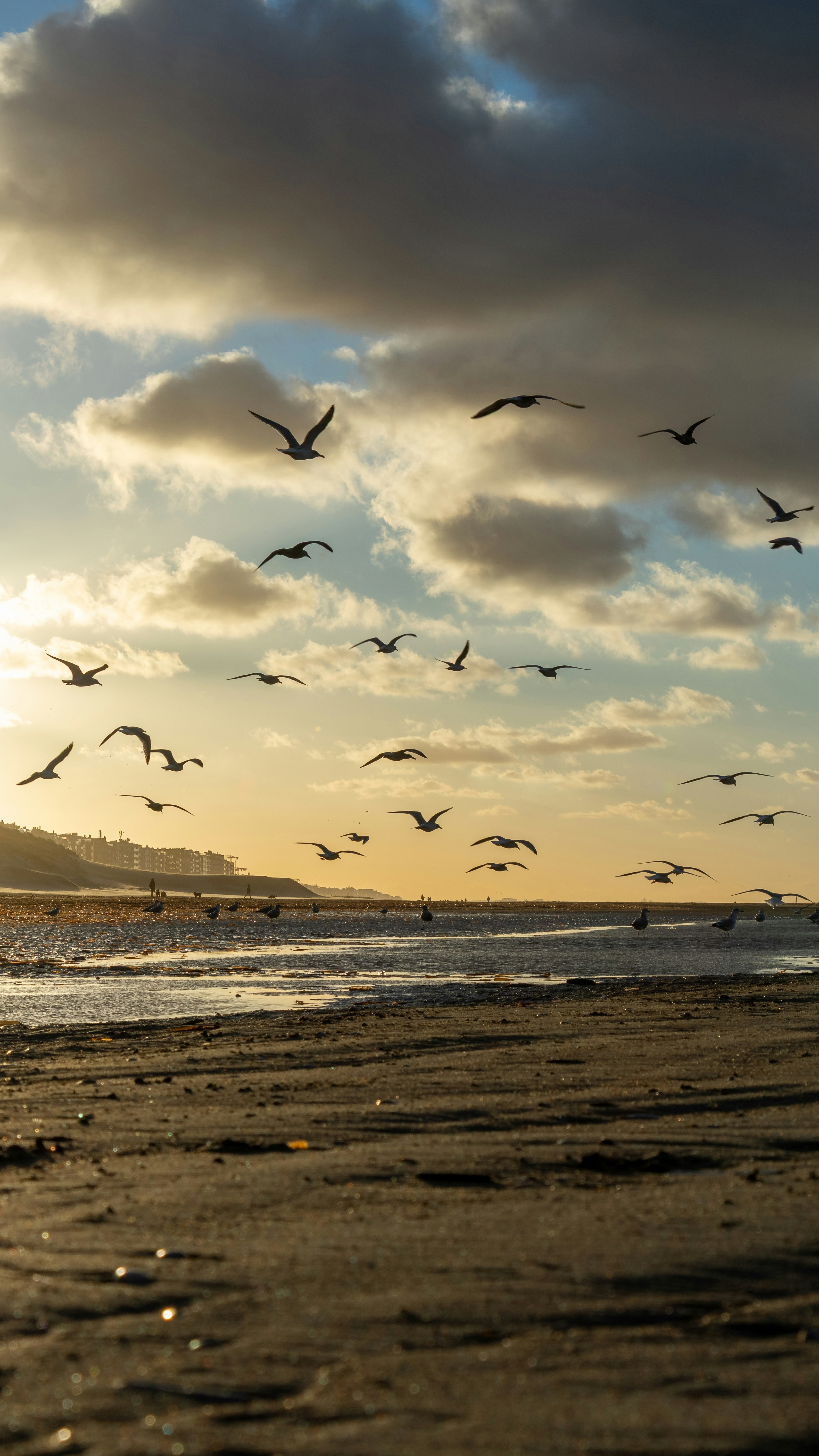 Photo by daanverhoost