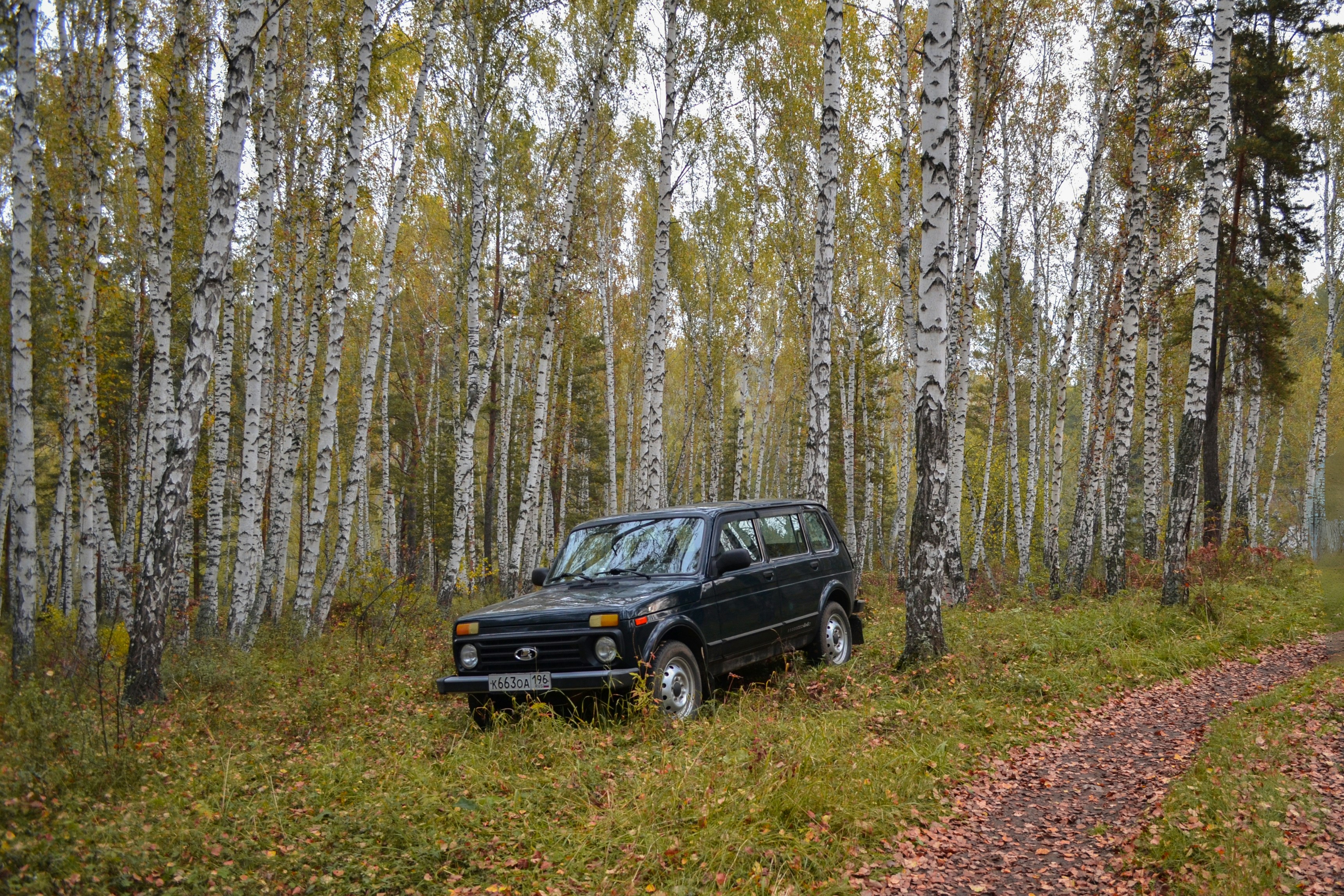 From Rugged Roots to Luxury Icons: The First SUV Made by Every Major Car-Maker (2025 Guide)