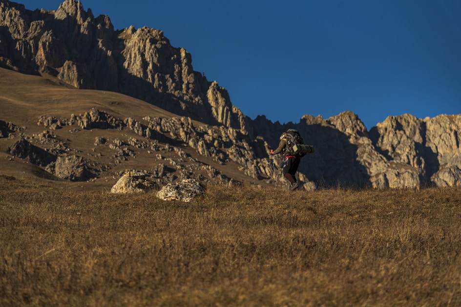 Tall ponderosa pine national forest with a hunter glassing from a ridge in morning light