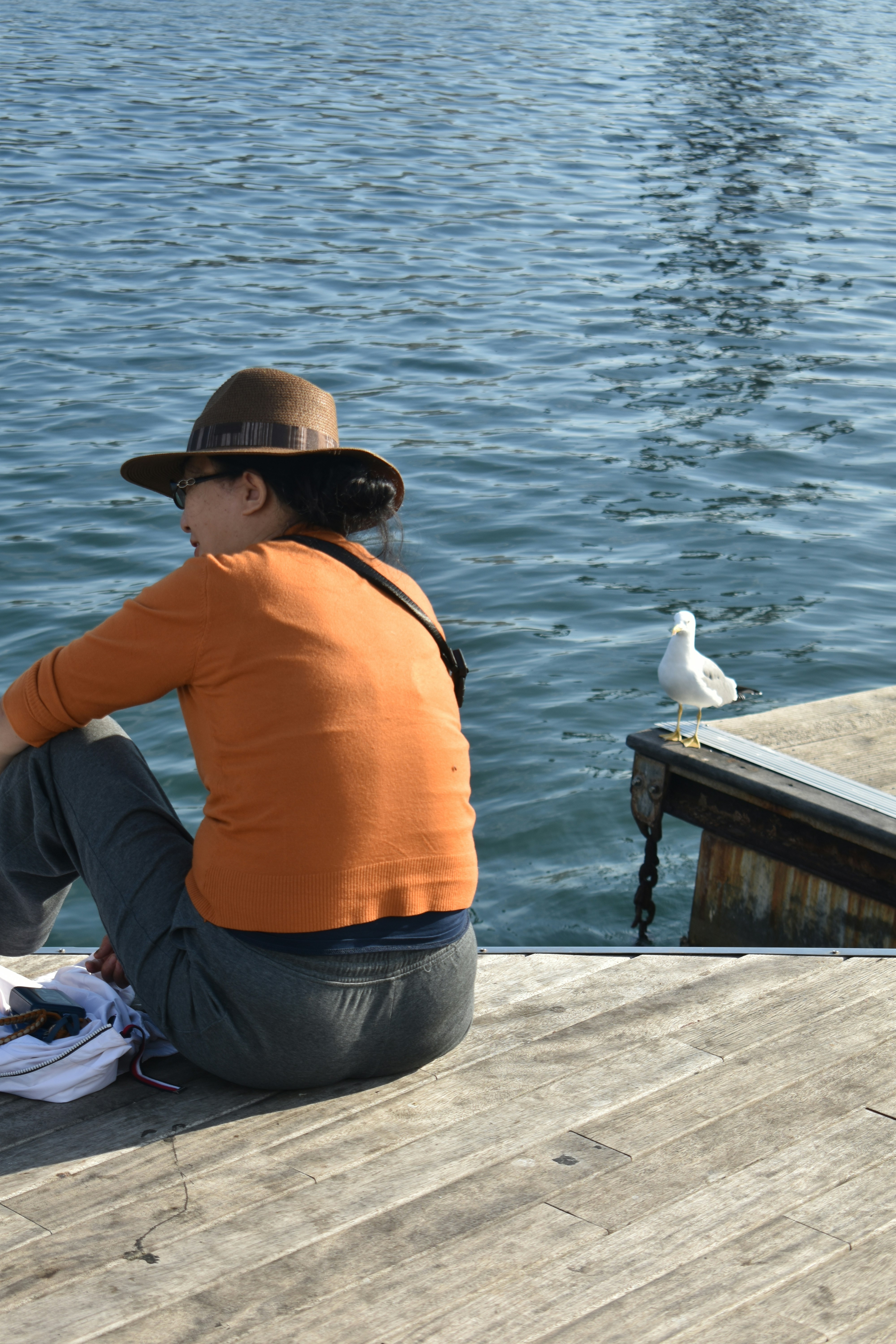 Woman in hat sits by water with seagull.