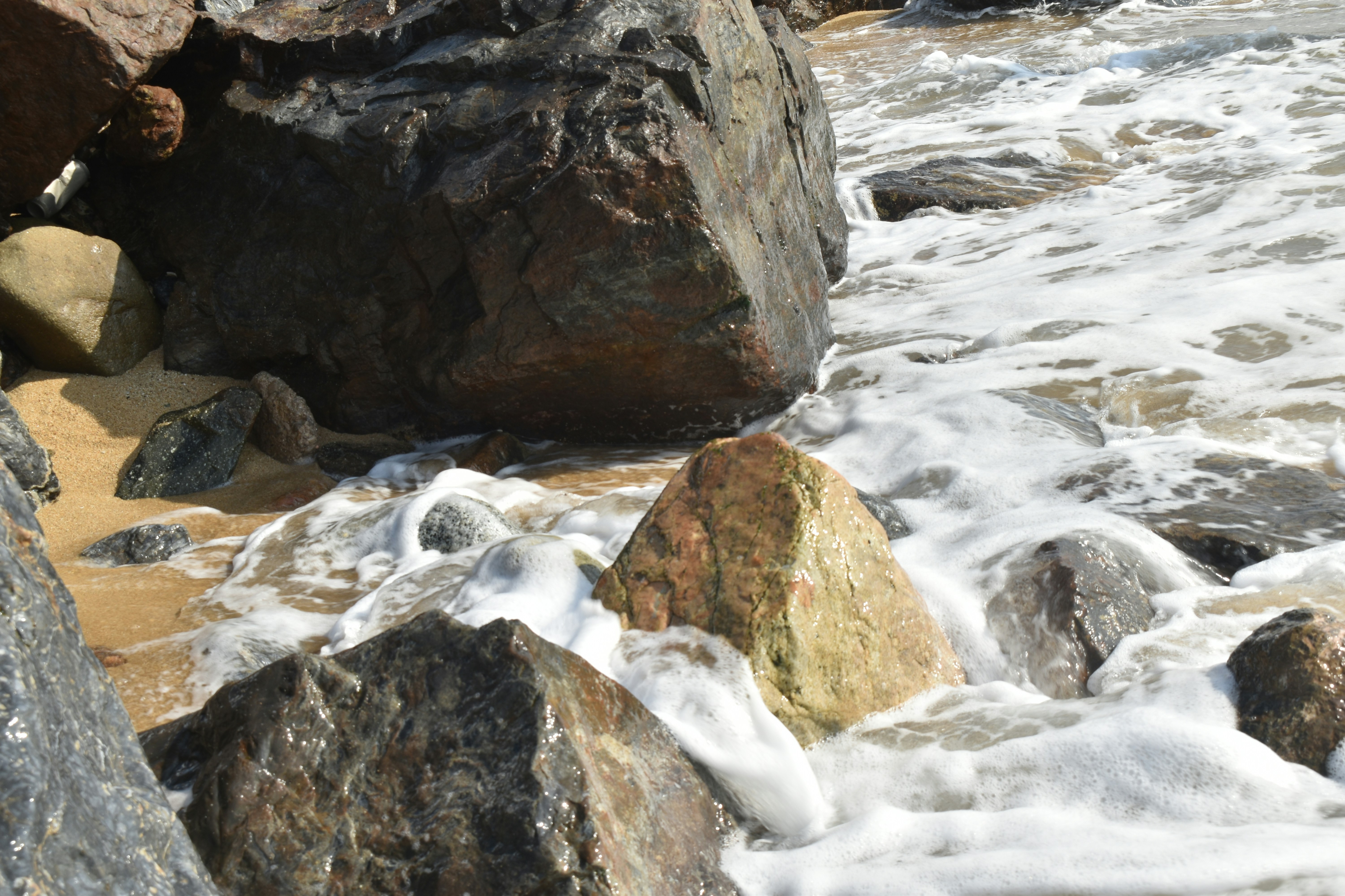 Photo by niloufarmirhadi