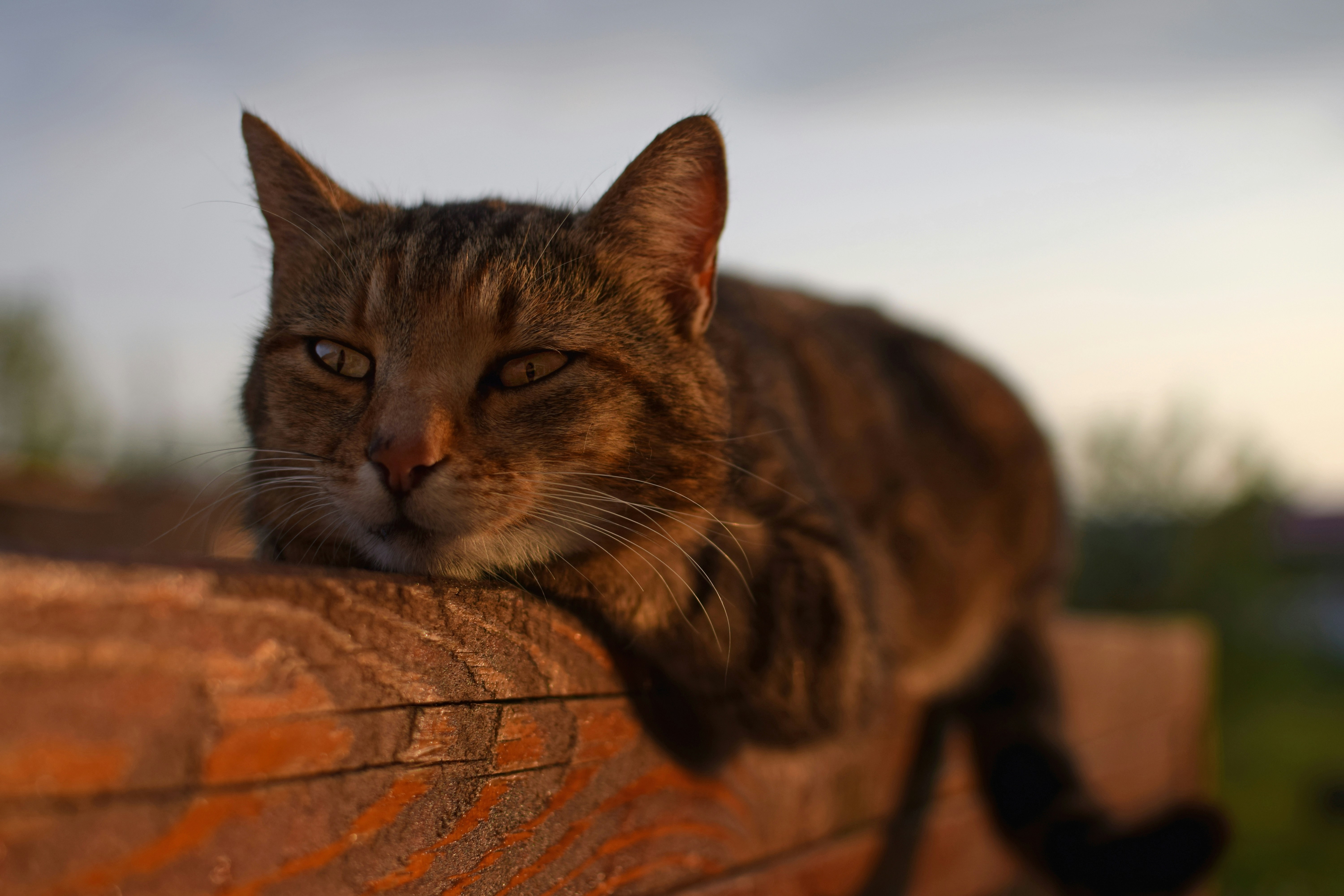 Photo by fabio_milazzo1