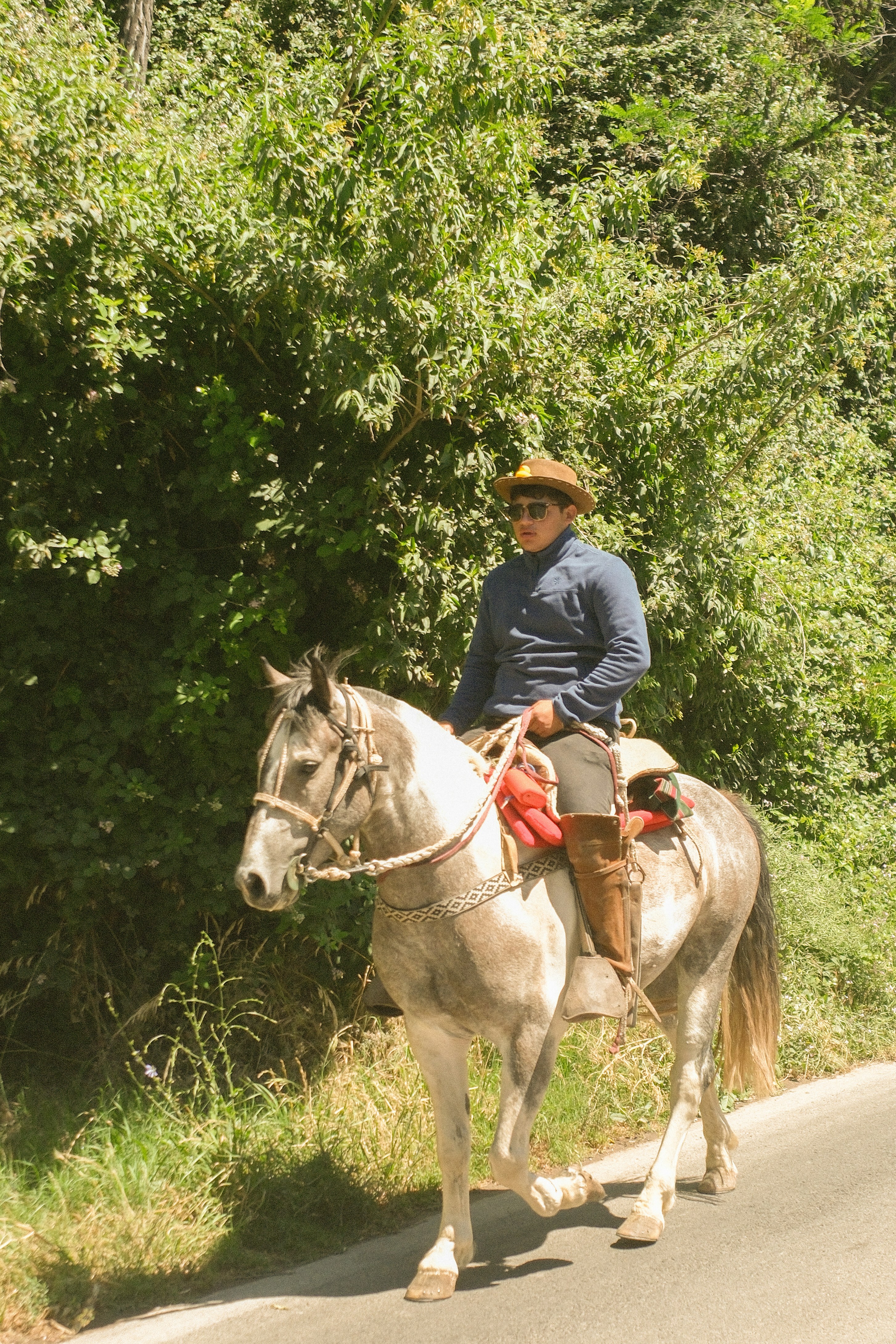 Man in cowboy hat rides a horse on a road.