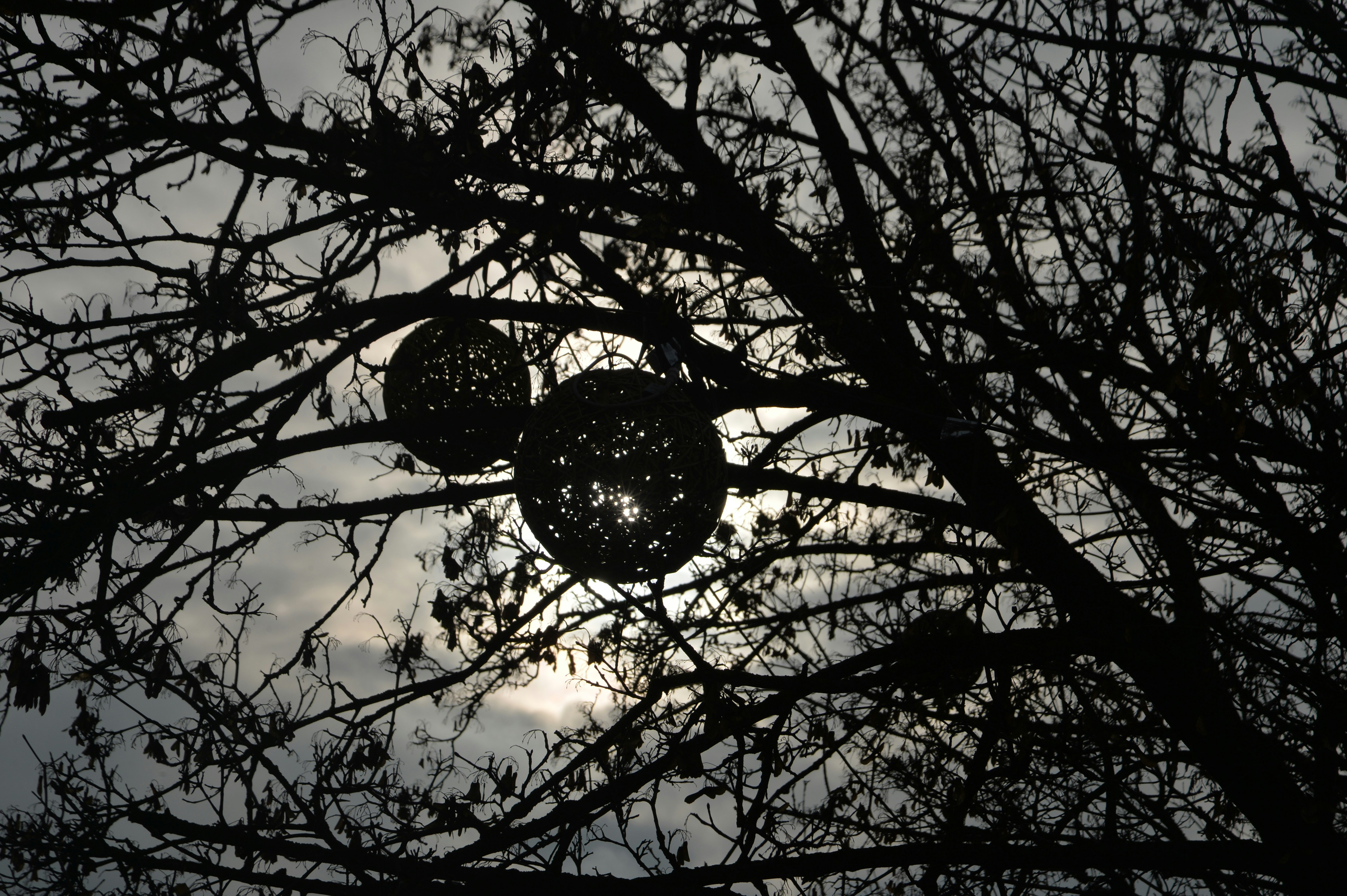 Photo by baliko_andras