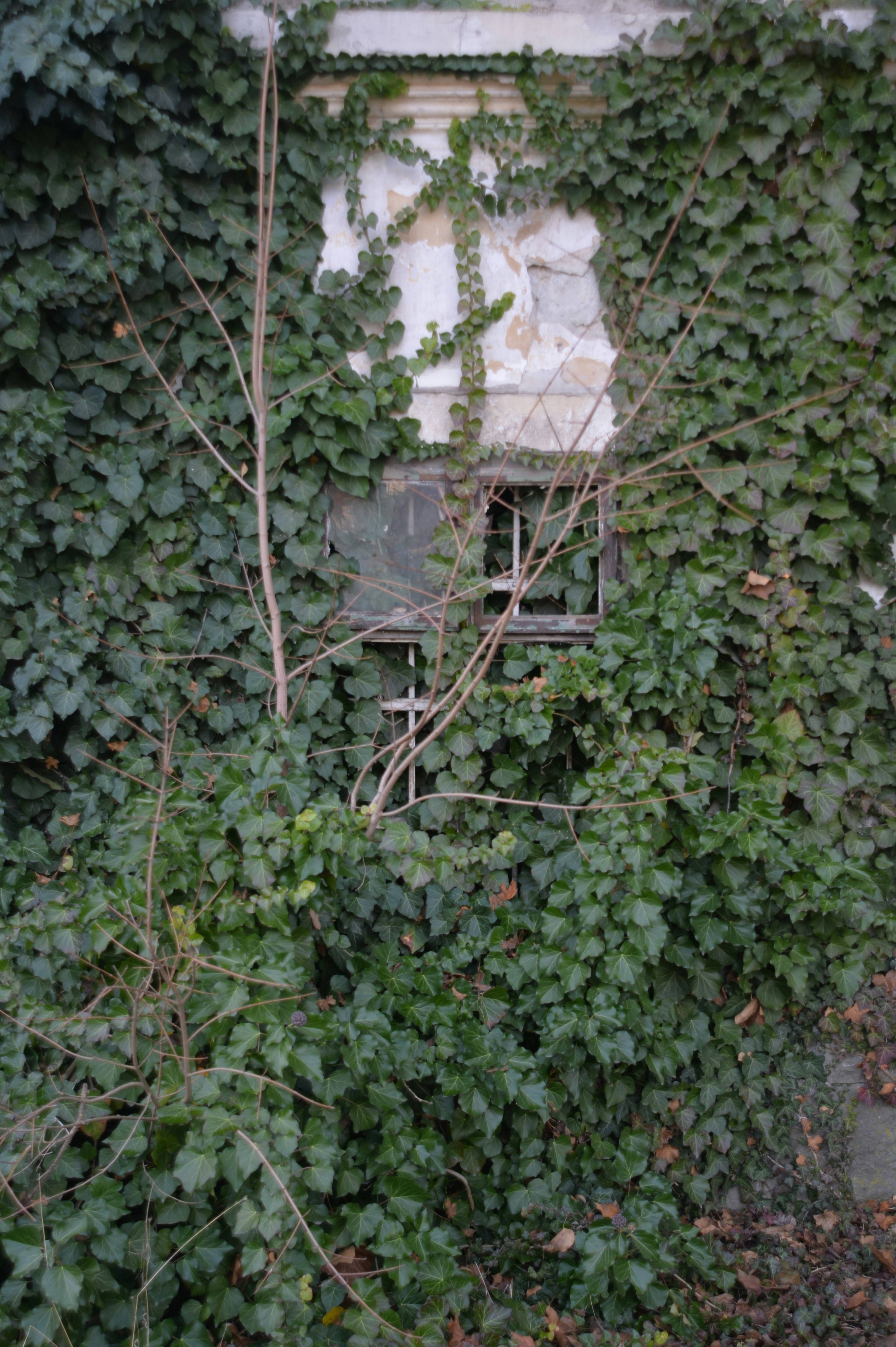 Photo by baliko_andras