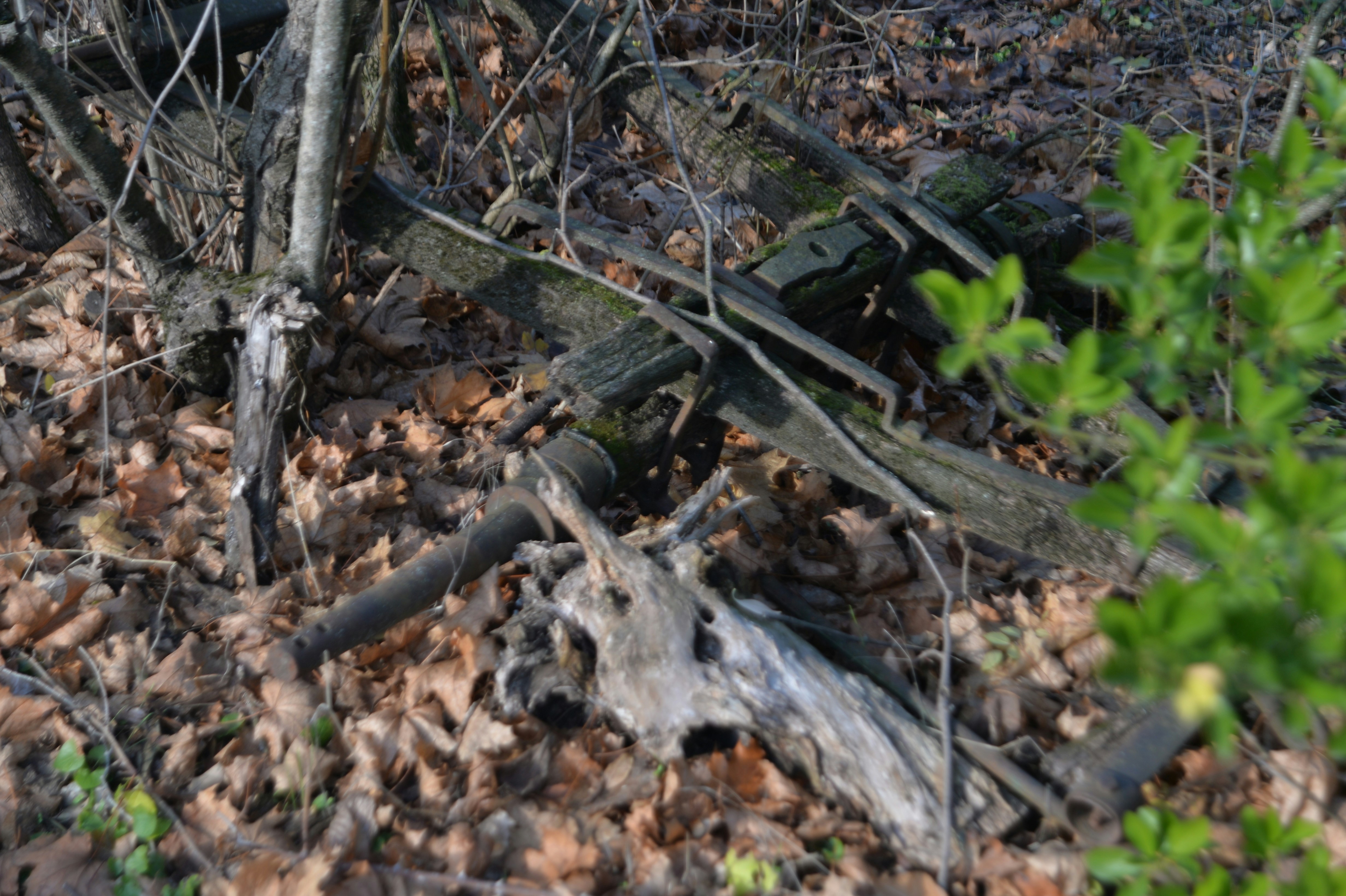 Photo by baliko_andras