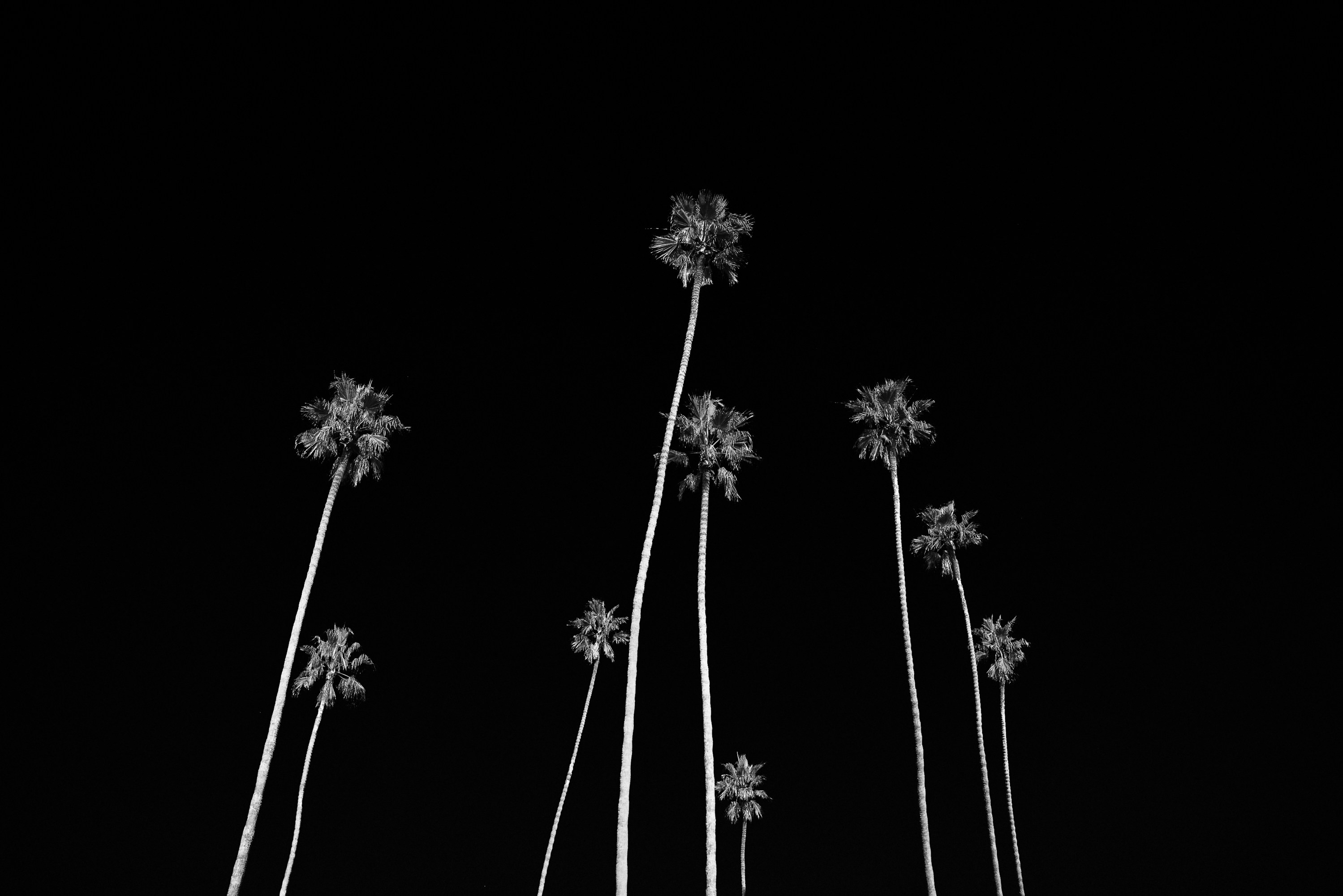 Photo by renatakneedham