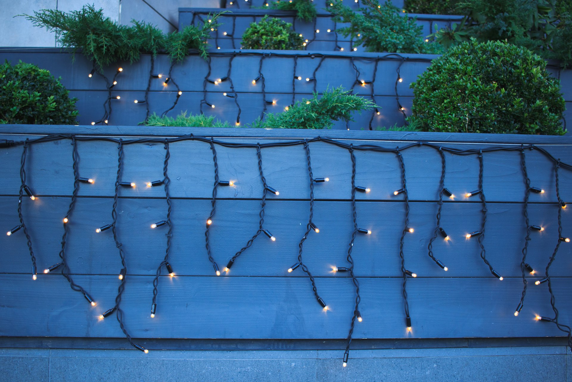 Icicle lights hang on a blue wooden wall.