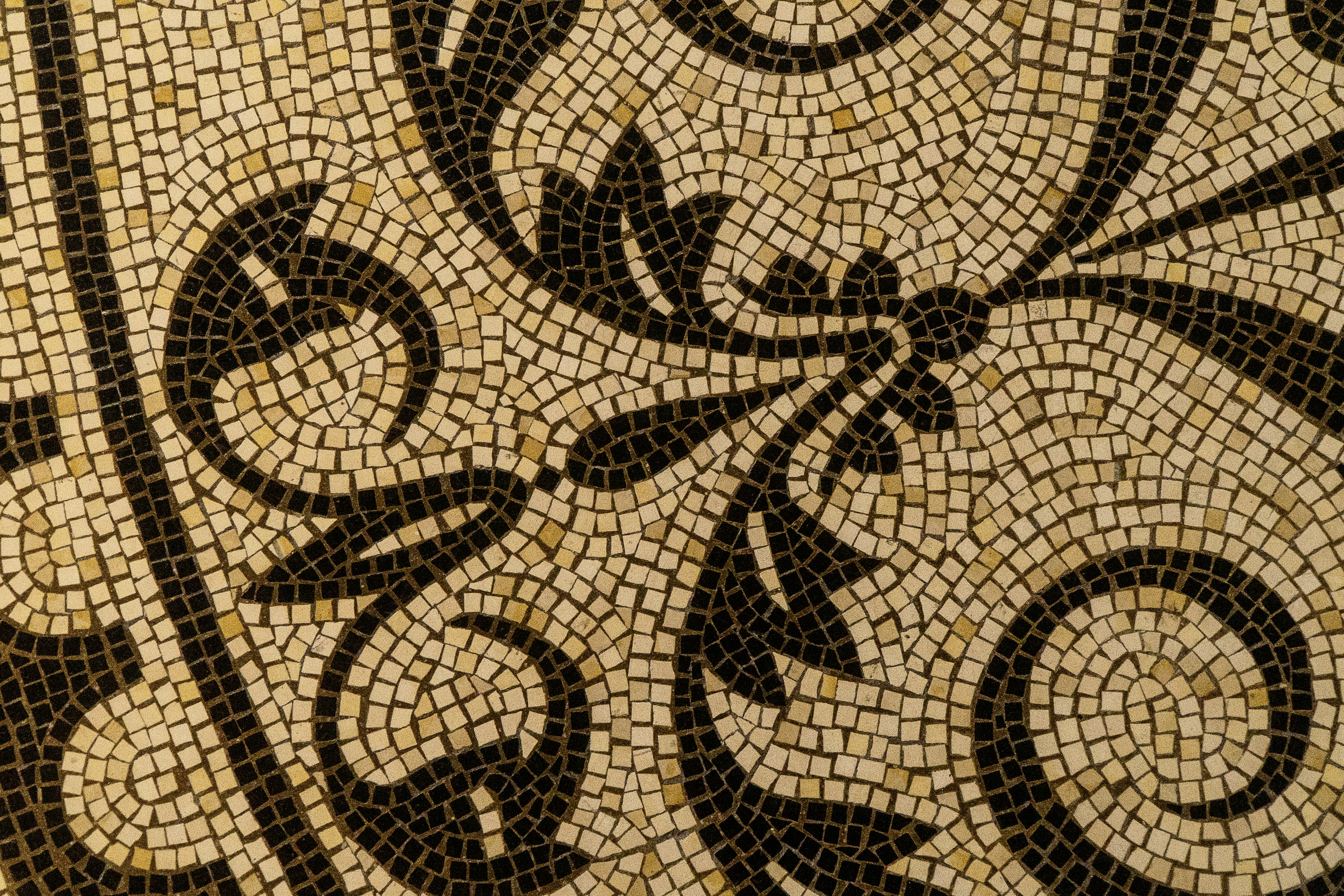 Photo by shotsoftorono