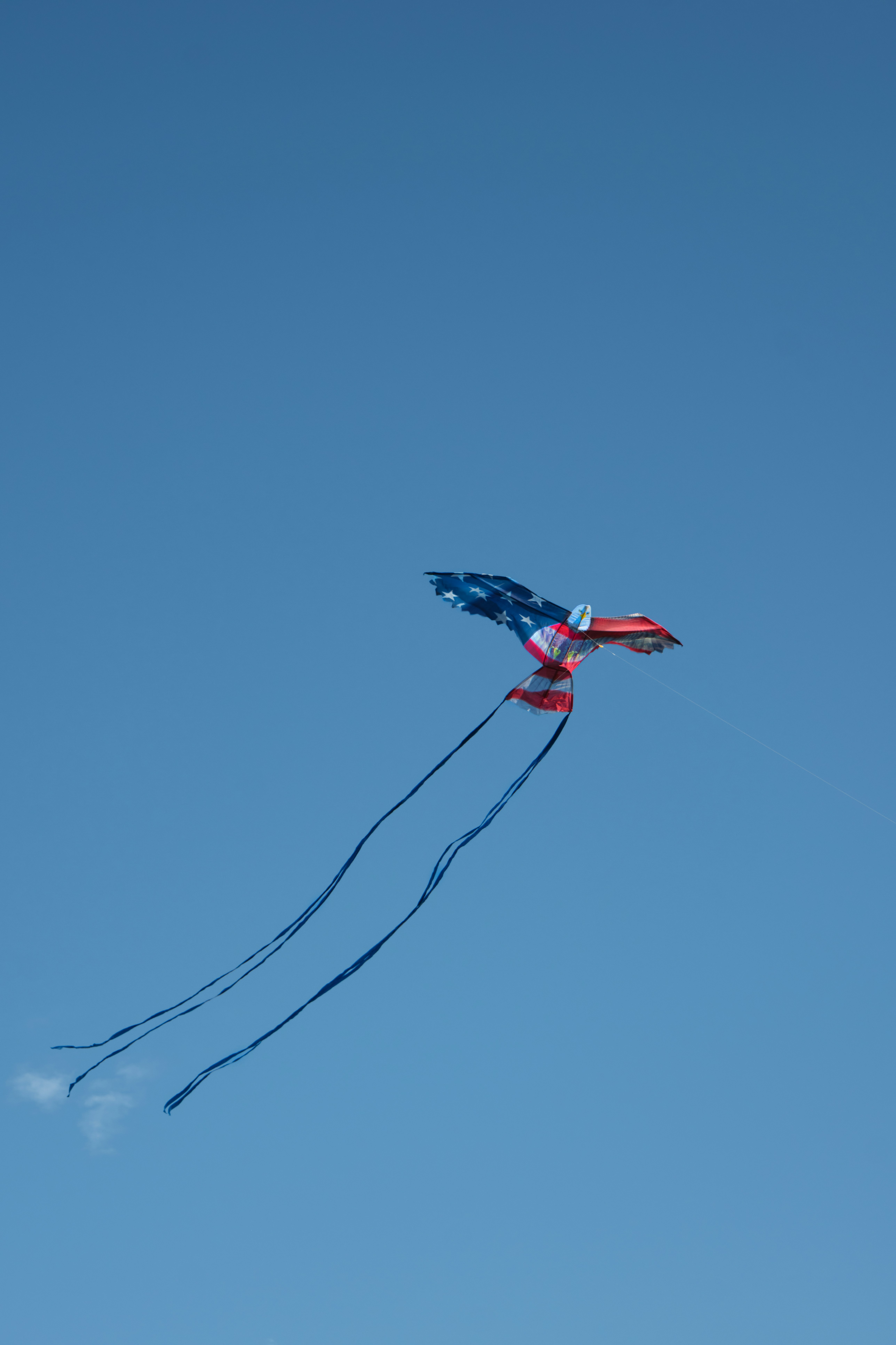 Un aquilone a forma di aquila vola nel cielo.