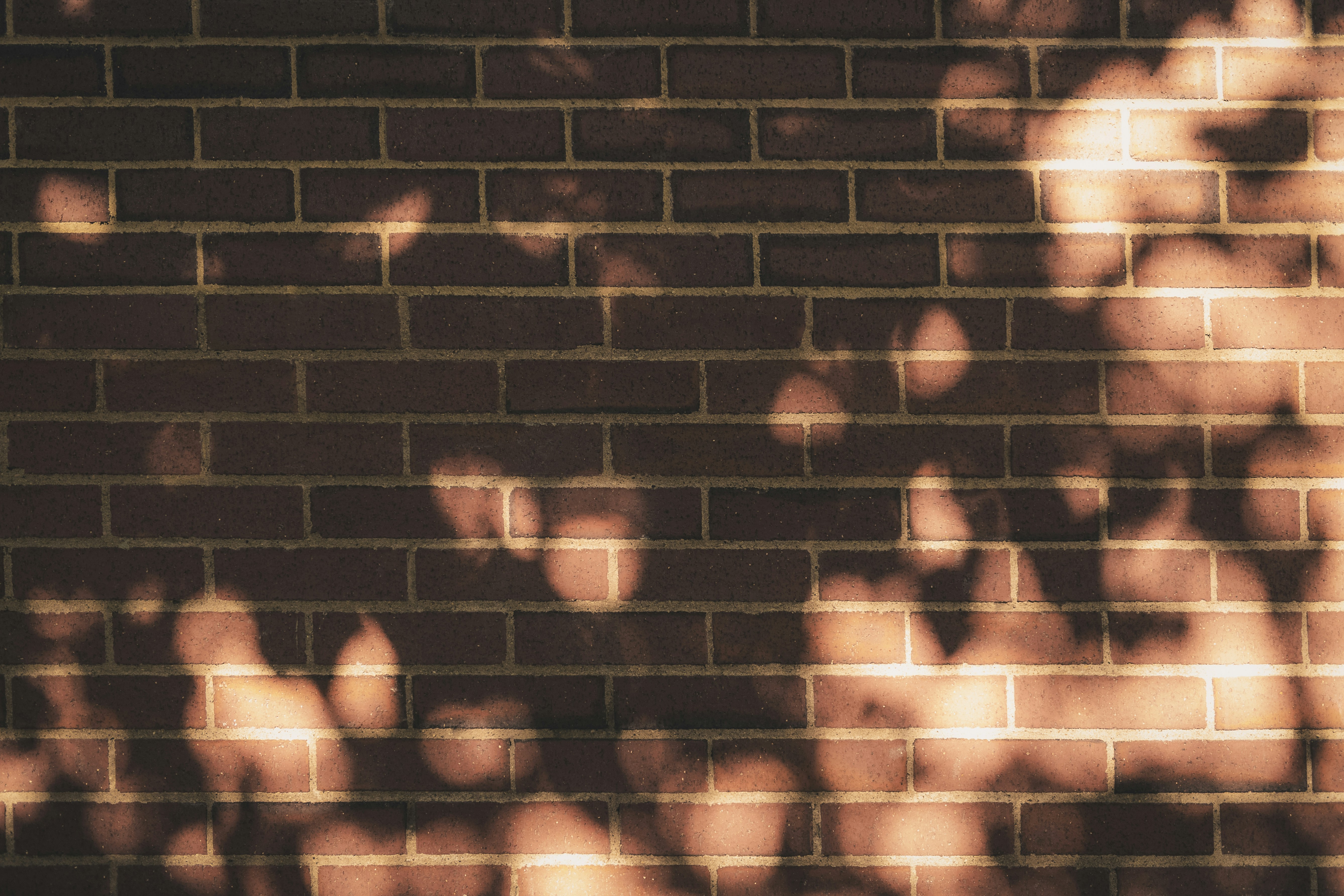 Photo by timmossholder