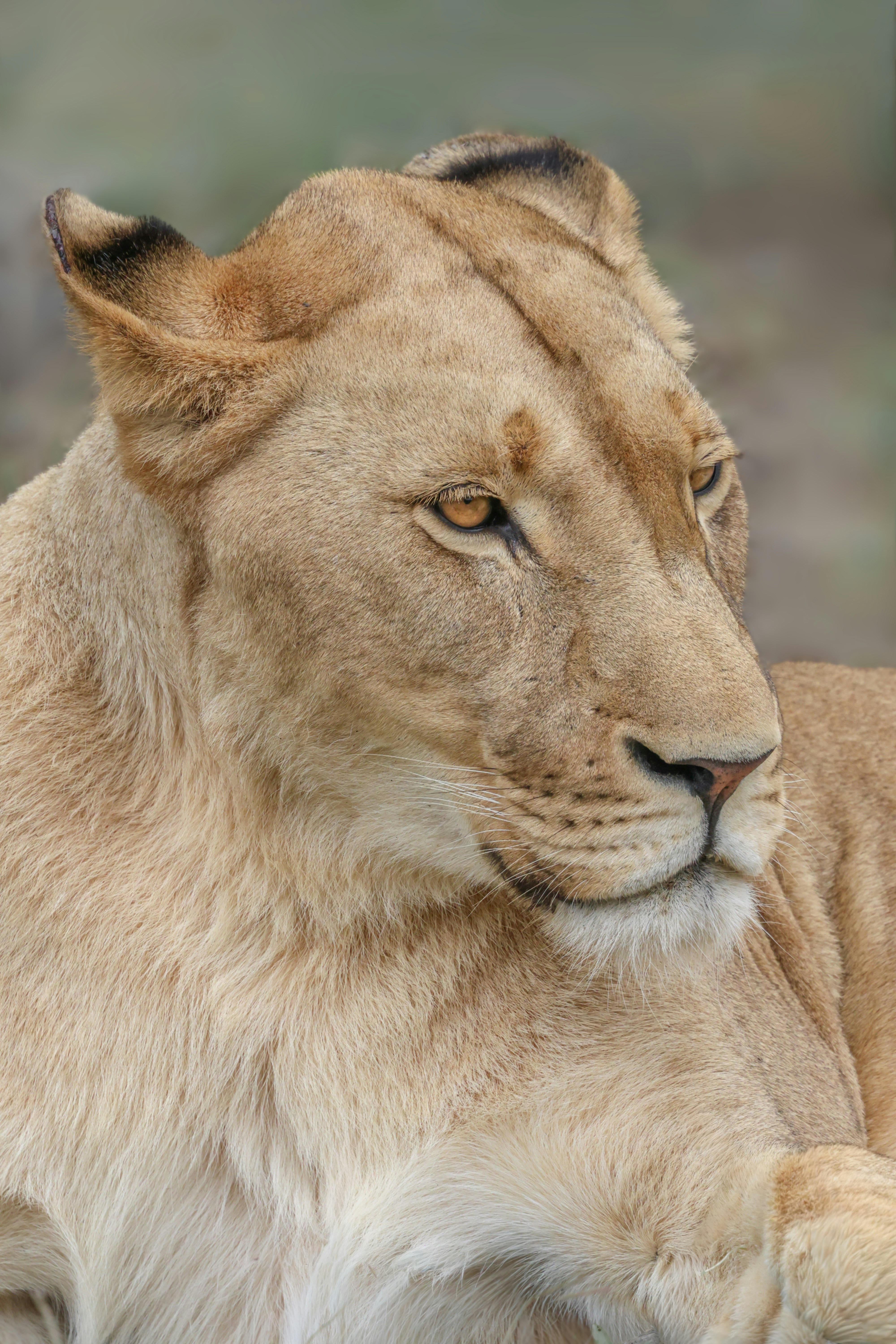 Photo by amandaswanepoel