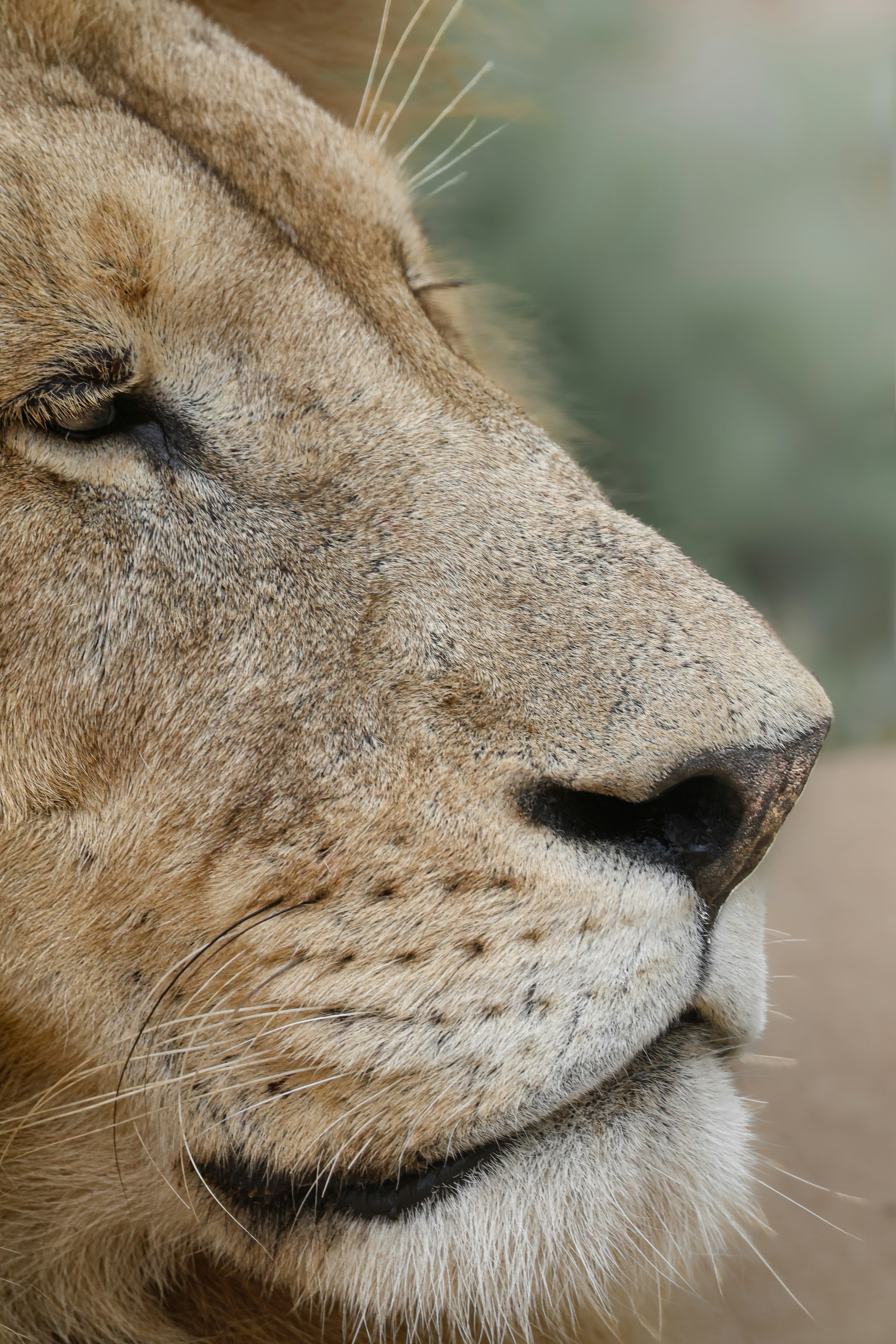 Photo by amandaswanepoel